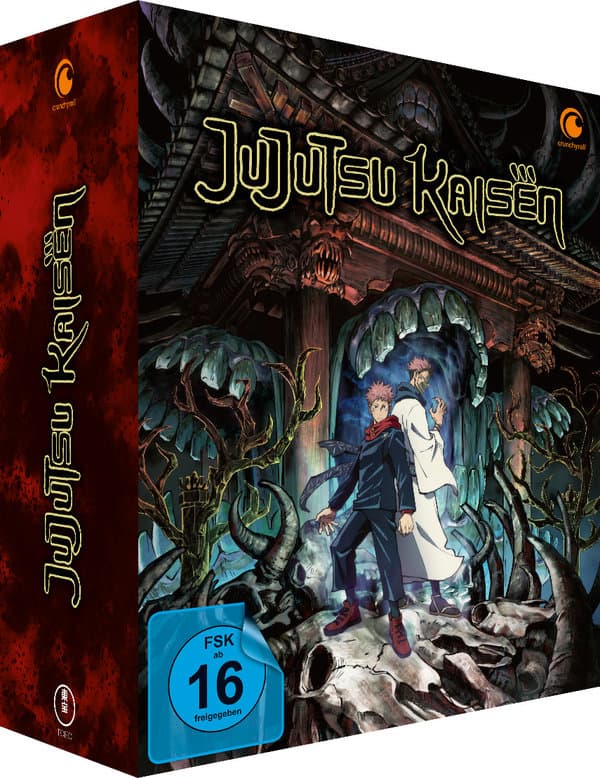 Jujutsu Kaisen - Staffel 1 - Gesamtausgabe  [4 DVDs]