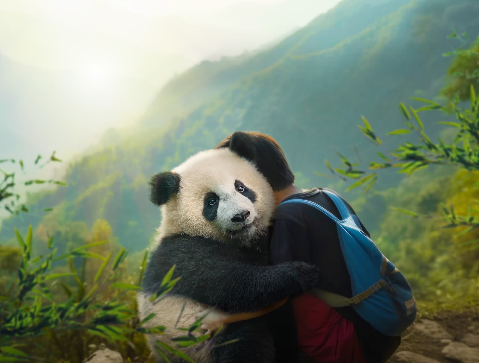 Produktbild Moon - Der Panda 3 von 12
