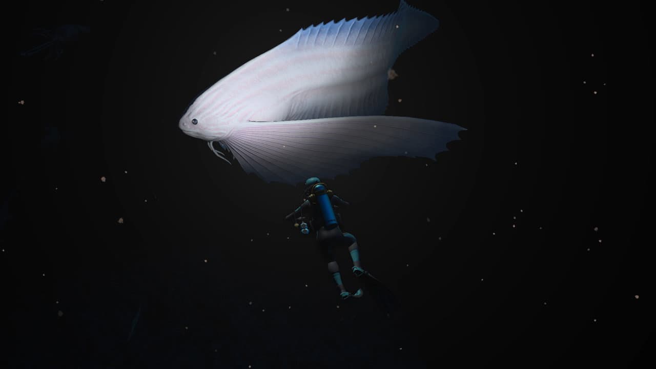 Produktbild Endless Ocean Luminous 6 von 6