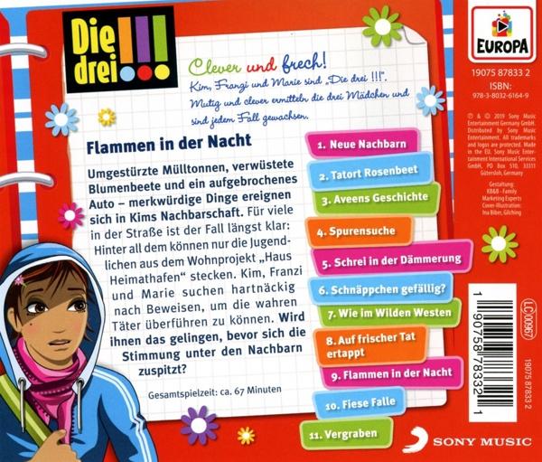 Produktbild 063/Flammen in der Nacht 3 von 3