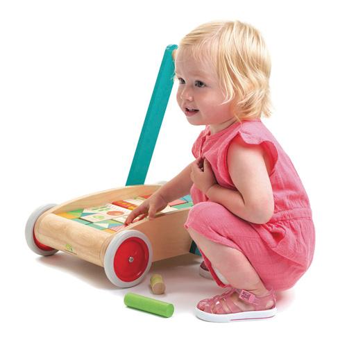 Produktbild Tender Leaf Toys Lauflernwagen mit Klötzen 7508464 5 von 7