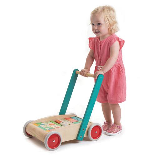 Produktbild Tender Leaf Toys Lauflernwagen mit Klötzen 7508464 6 von 7