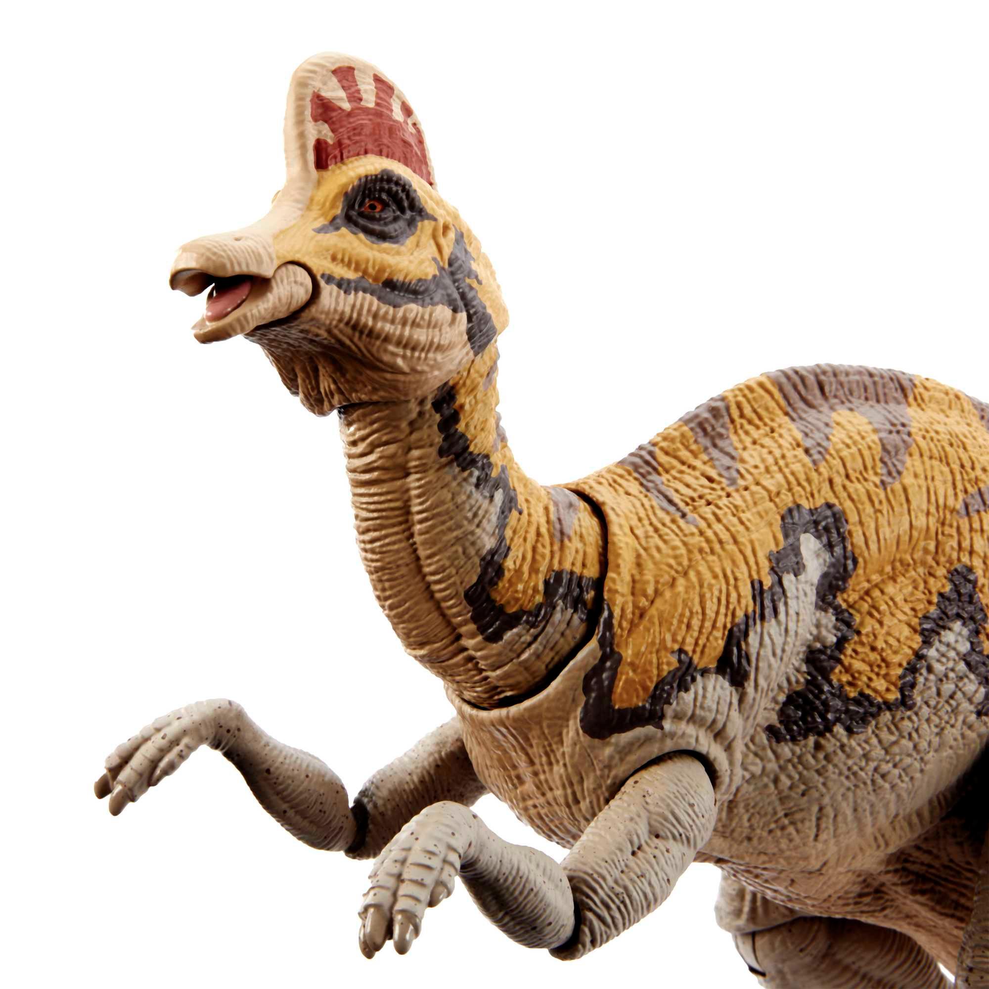 Produktbild Jurassic World Hammond Collection Mid-Sized Corythosaurus 3 von 5