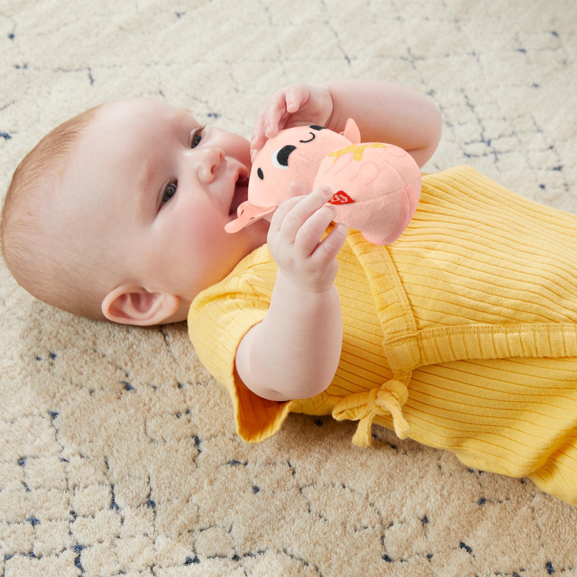 Produktbild Fisher-Price Sensorische Erlebnisse Geschenkset, 4 sensorische Spielzeuge mit feinmotorischen Aktivitäten für Babys 4 von 6