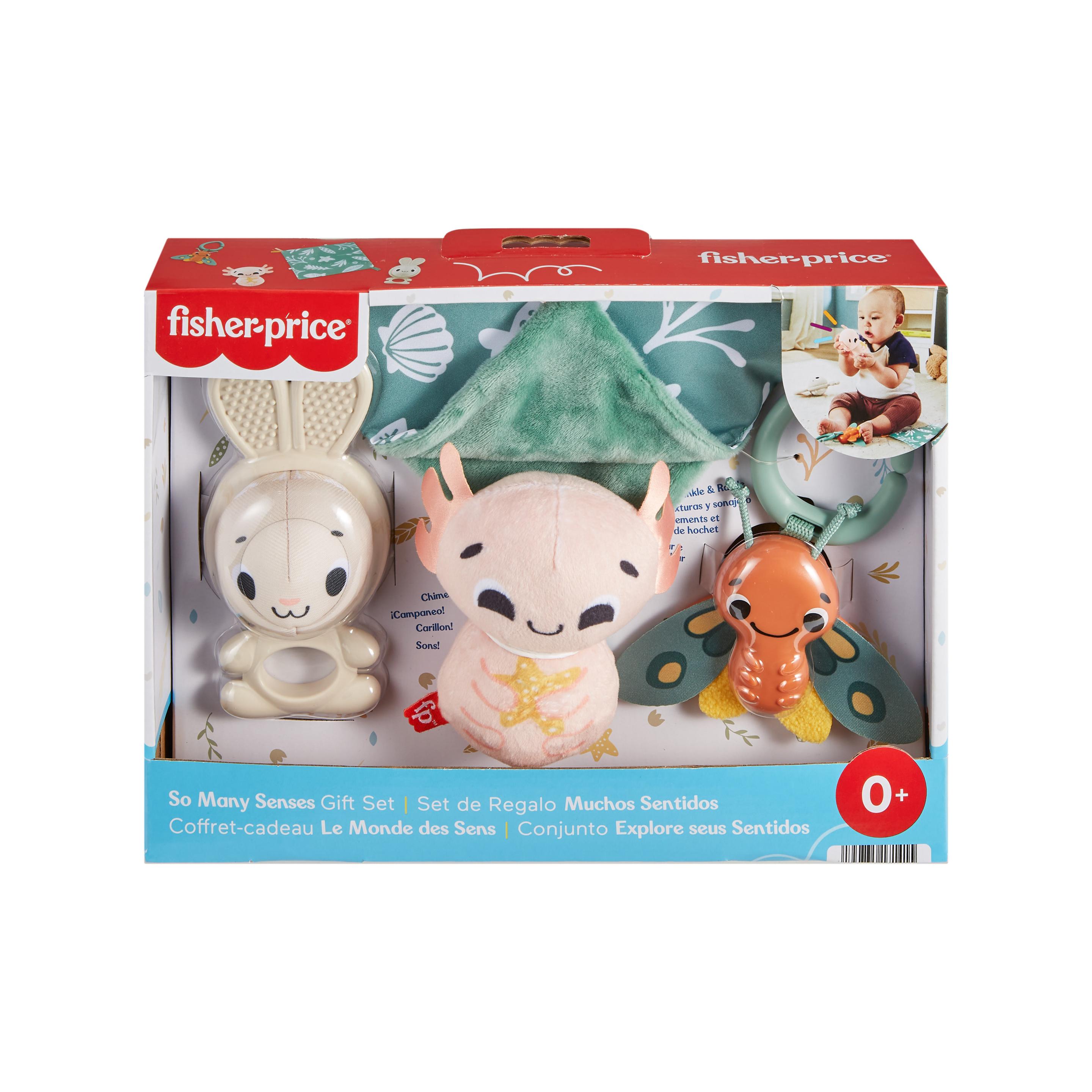Produktbild Fisher-Price Sensorische Erlebnisse Geschenkset, 4 sensorische Spielzeuge mit feinmotorischen Aktivitäten für Babys 6 von 6