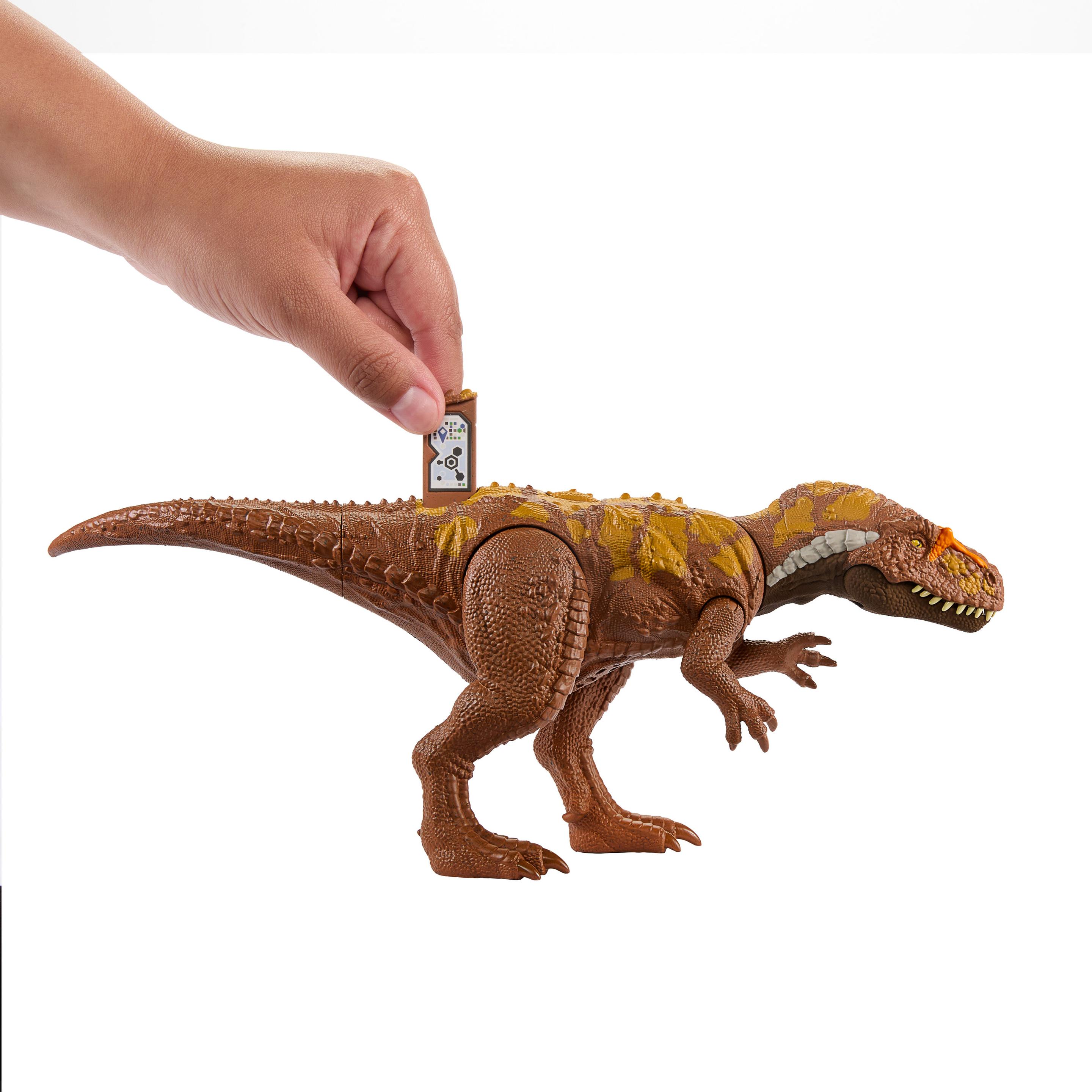 Produktbild Jurassic World Wild Roar Dinosaurier, Megalosaurus Actionfigur-Spielzeug mit Geräuschen 4 von 6