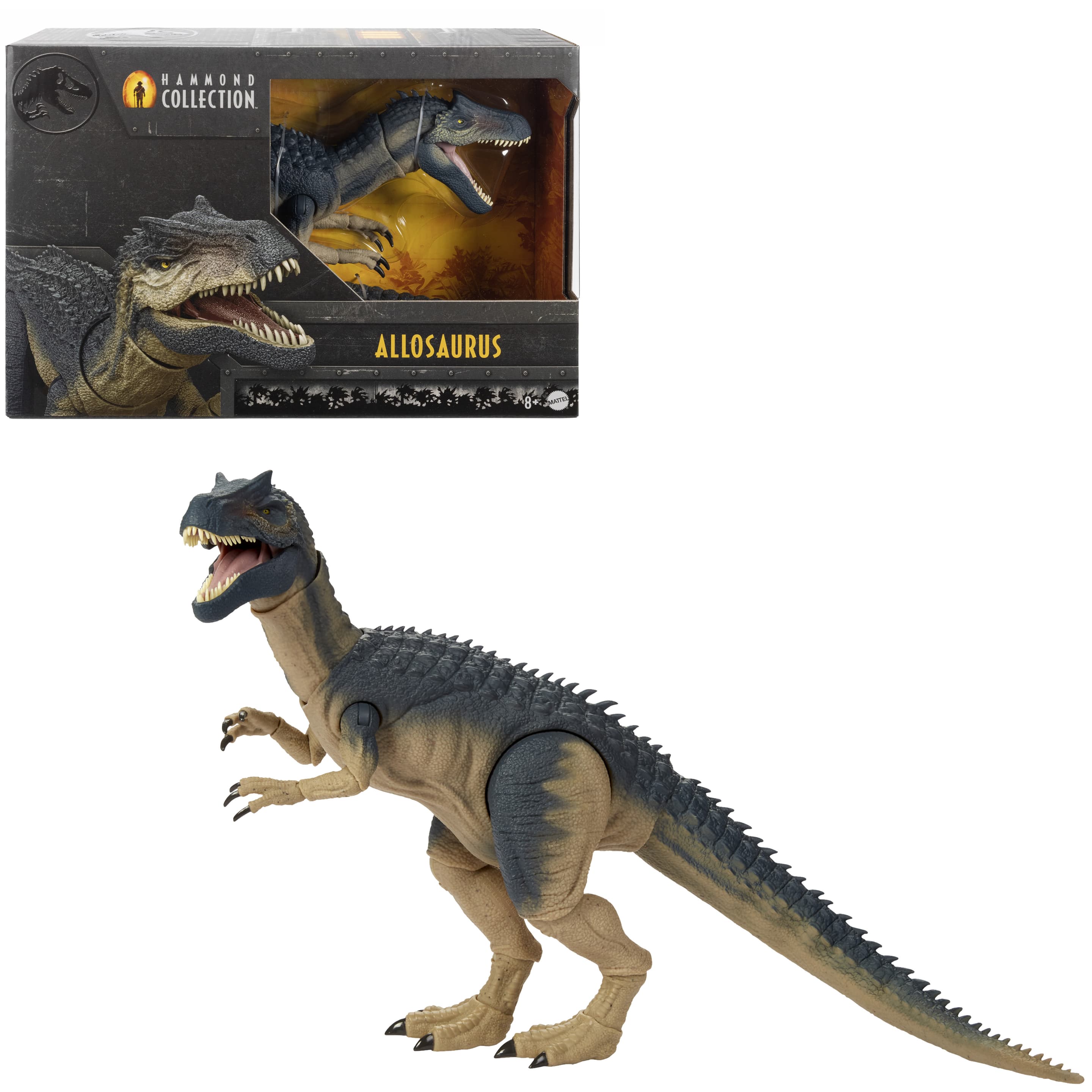 Jurassic World Hammond Collection Allosaurus Dinosaurier-Actionfigur mit Glasaugen, verdrahtetem Schwanz