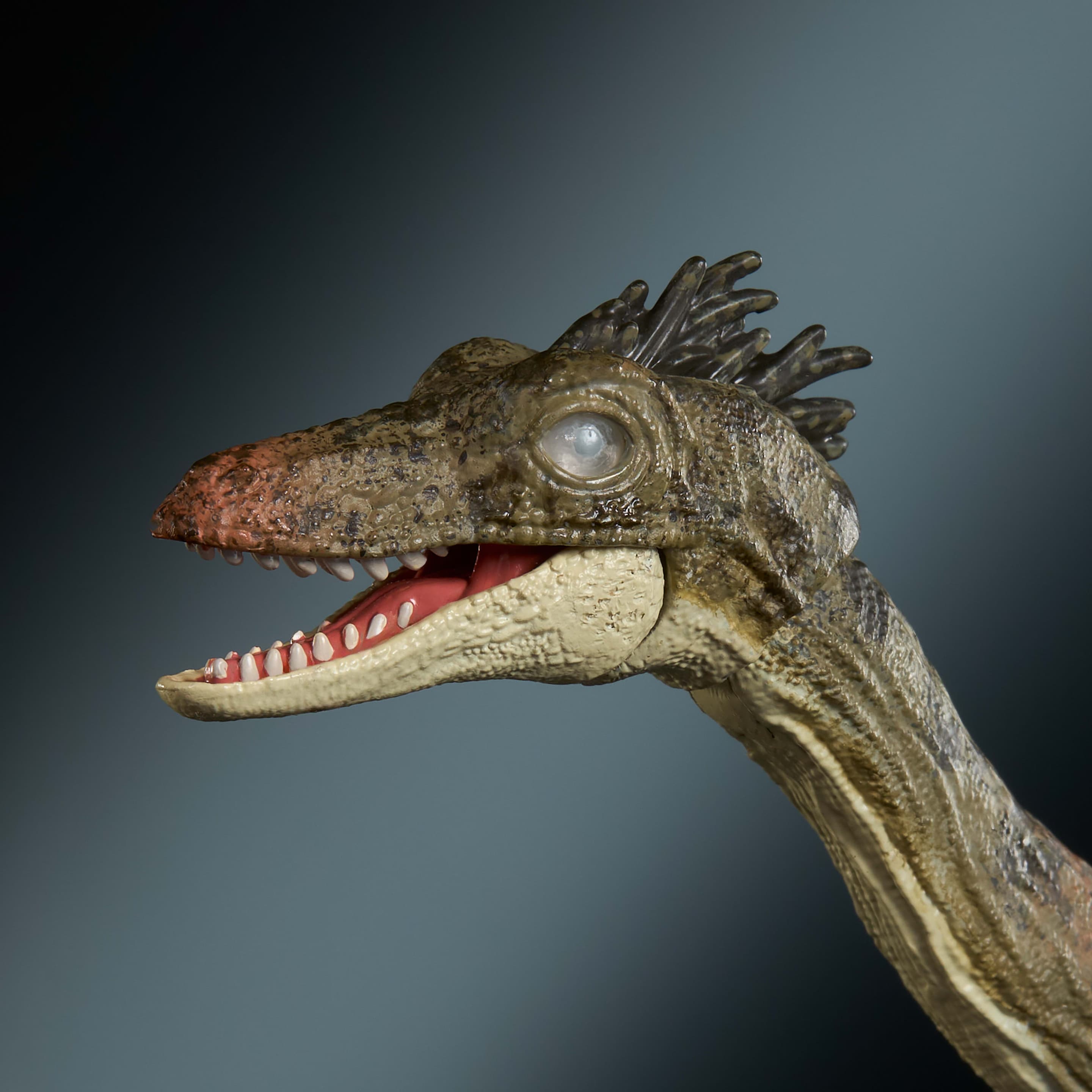 Produktbild Jurassic World Hammond Collection Troodon Dinosaurier-Actionfigur mit 14 Bewegungspunkten 2 von 6