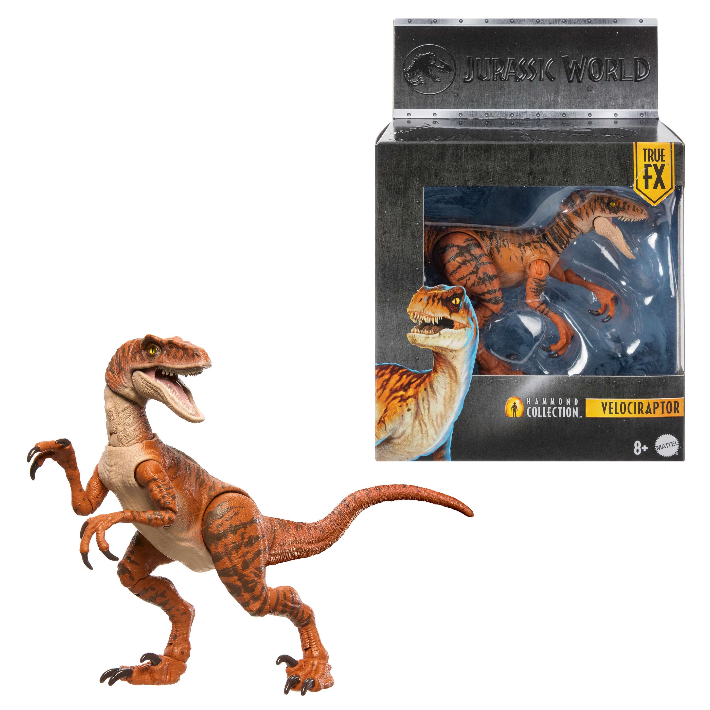 Jurassic World Hammond Collection Tiger-Atrociraptor Dinosaurier-Actionfigur, 13 Bewegungspunkte