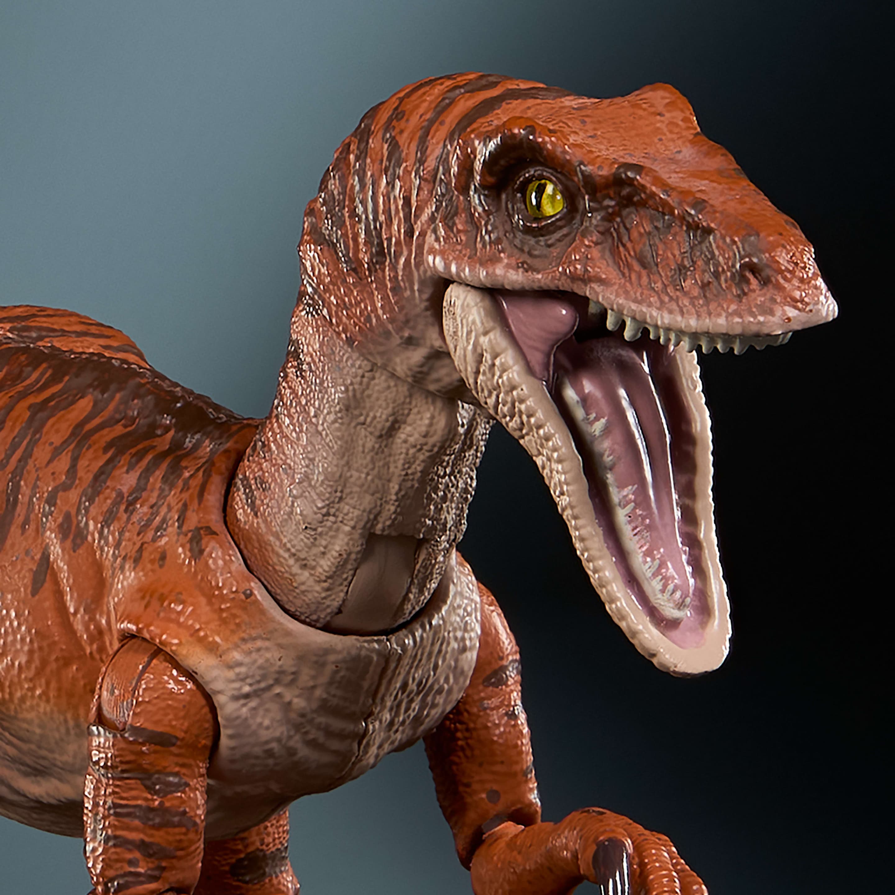 Produktbild Jurassic World Hammond Collection Tiger-Atrociraptor Dinosaurier-Actionfigur, 13 Bewegungspunkte 3 von 6