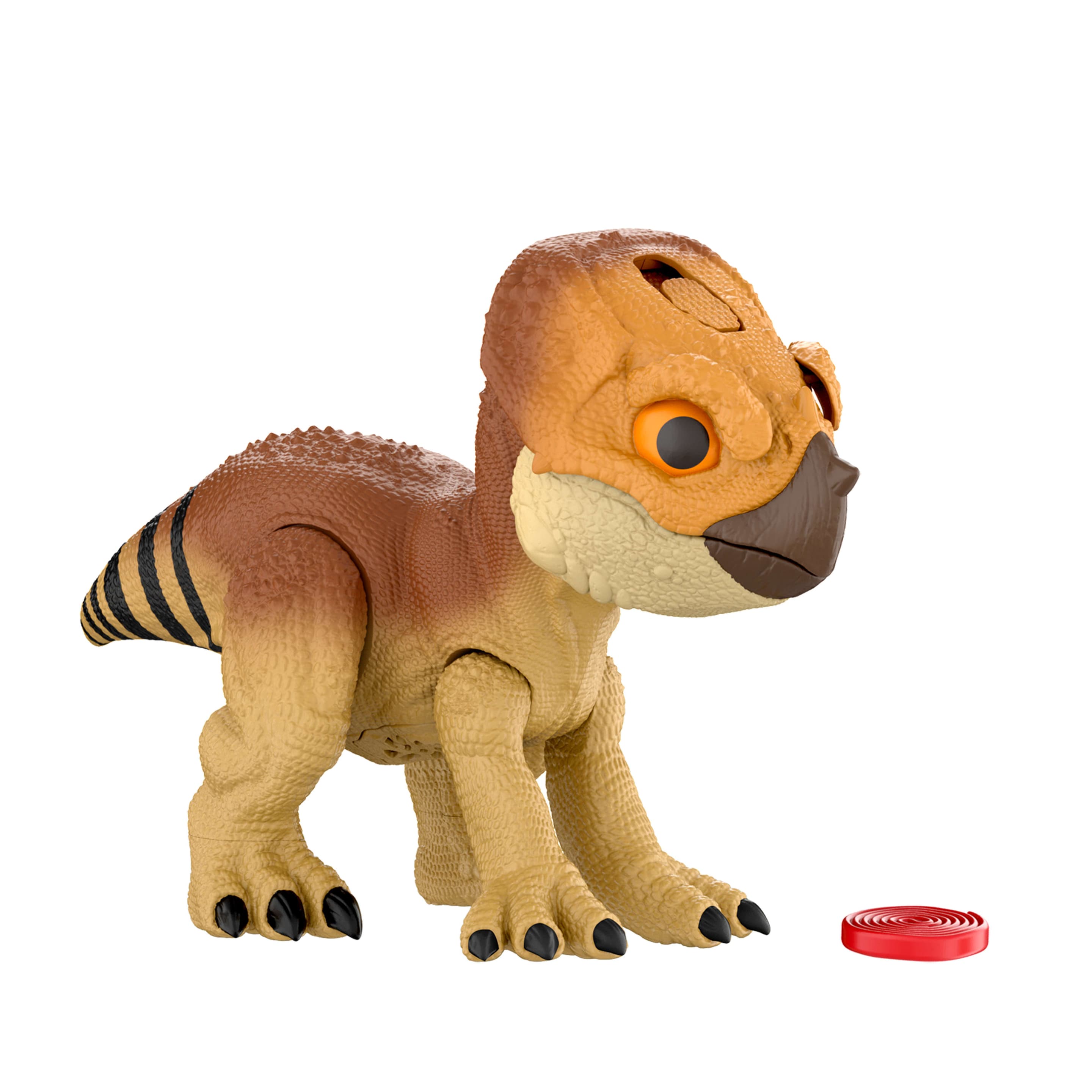 Produktbild Jurassic World: Die Wiedergeburt Primal Protector Aquilops Dolores Interaktives Dinosaurierspielzeug 5 von 6