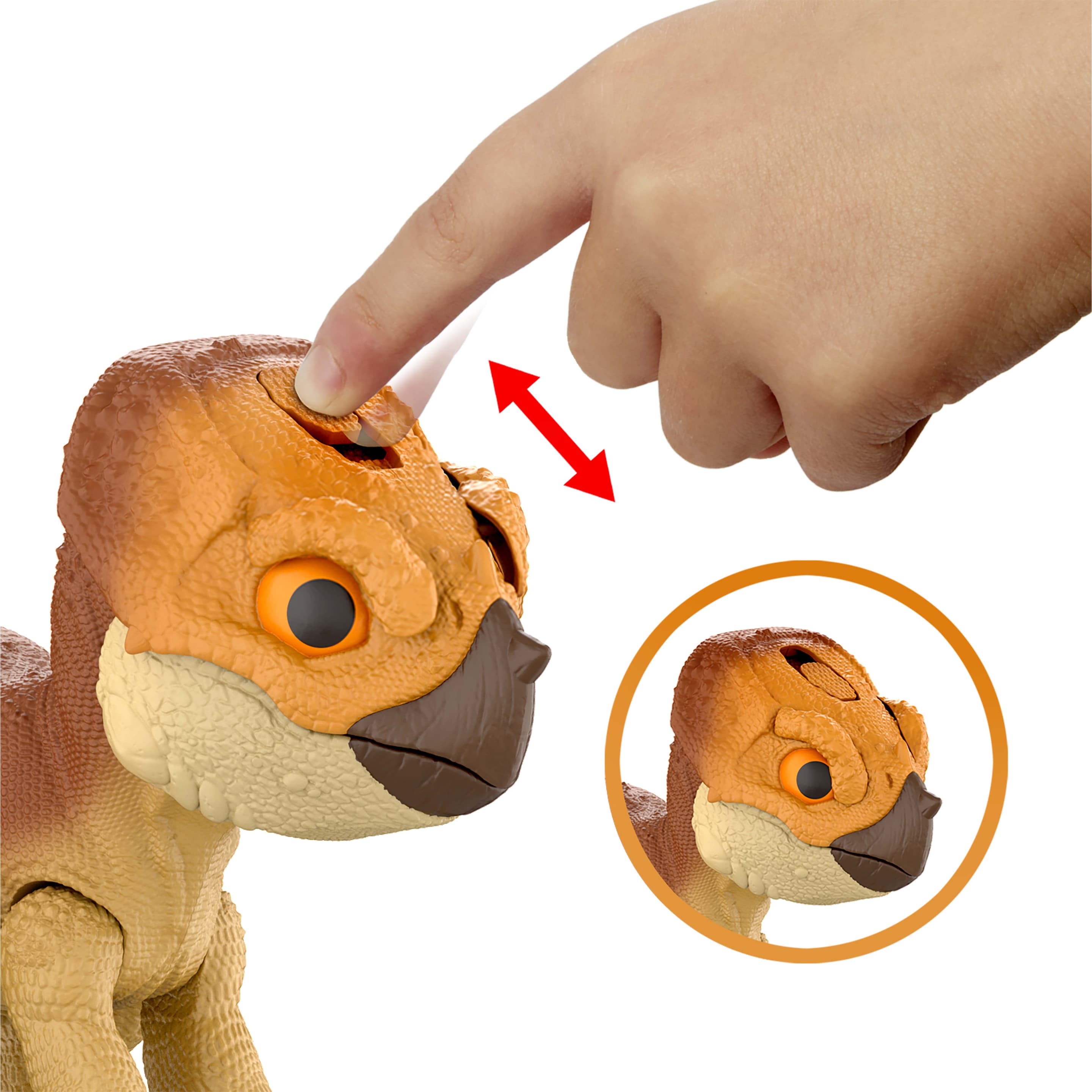 Produktbild Jurassic World: Die Wiedergeburt Primal Protector Aquilops Dolores Interaktives Dinosaurierspielzeug 4 von 6