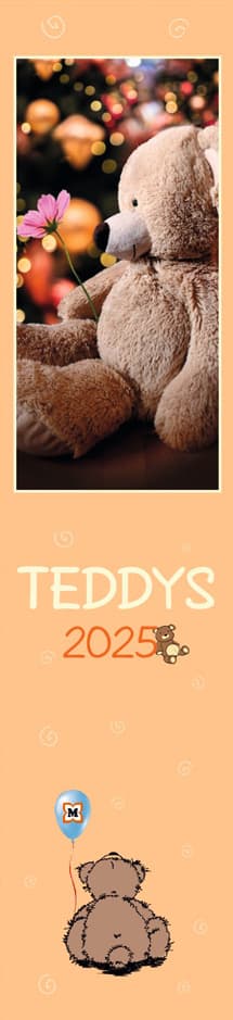 Müller Streifenplaner Teddy 2025