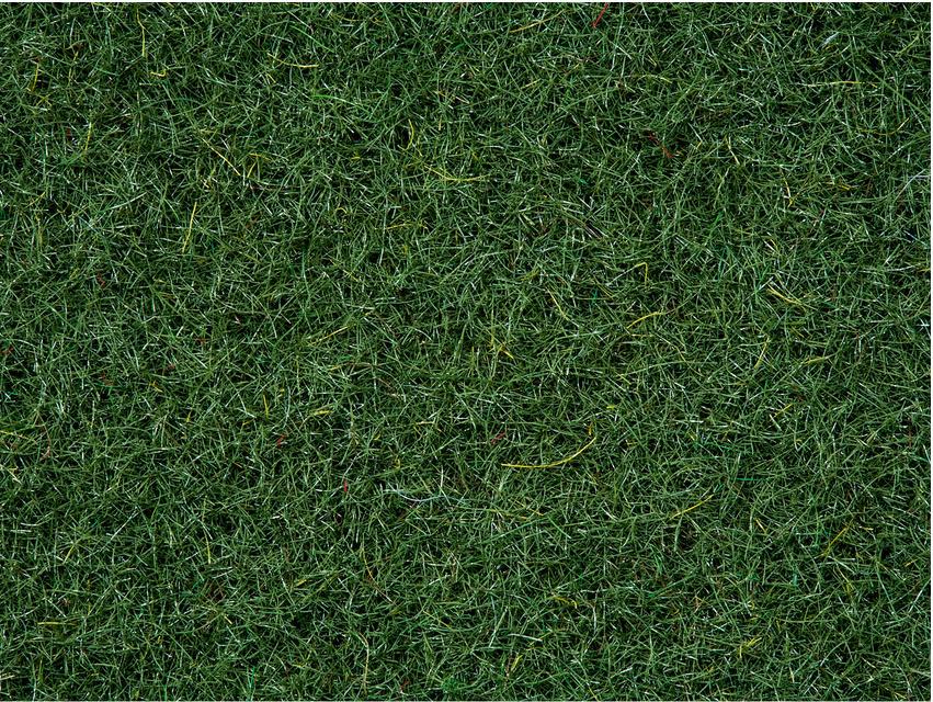 Produktbild NOCH 08320 - Streugras “Moorboden”, 20 g 2 von 2