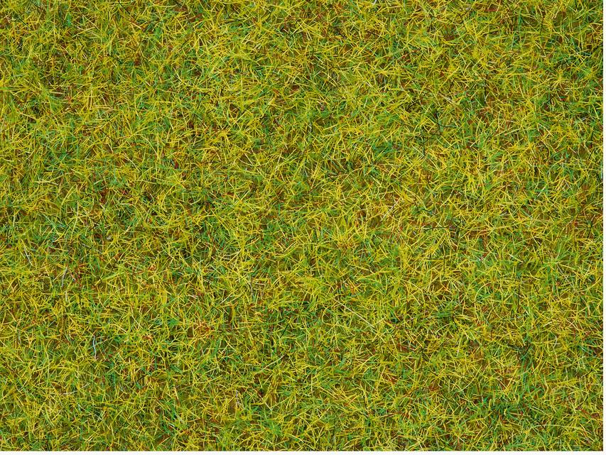 Produktbild NOCH 08310 - Streugras “Sommerwiese”, 20 g 2 von 2