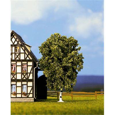 Produktbild NOCH 21640 H0 - Birke 2 von 3