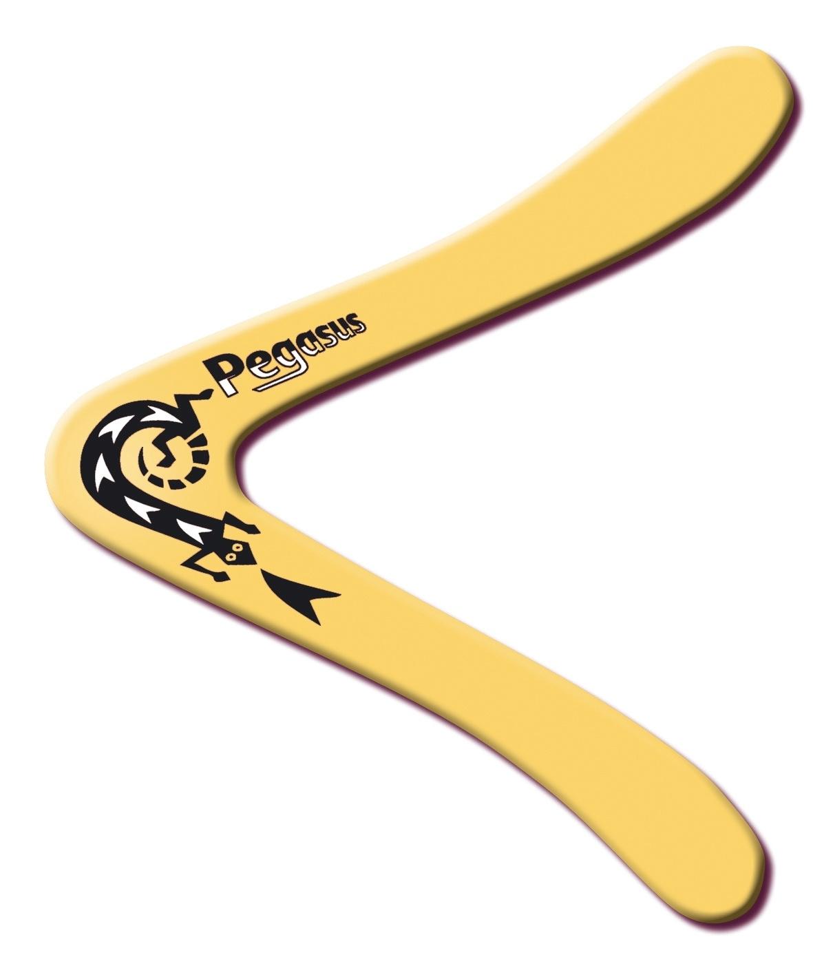 Produktbild Günther Flugmodelle - Pegasus Boomerang 4 von 4
