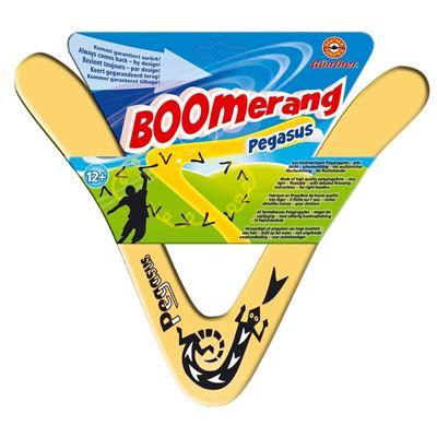Produktbild Günther Flugmodelle - Pegasus Boomerang 2 von 4