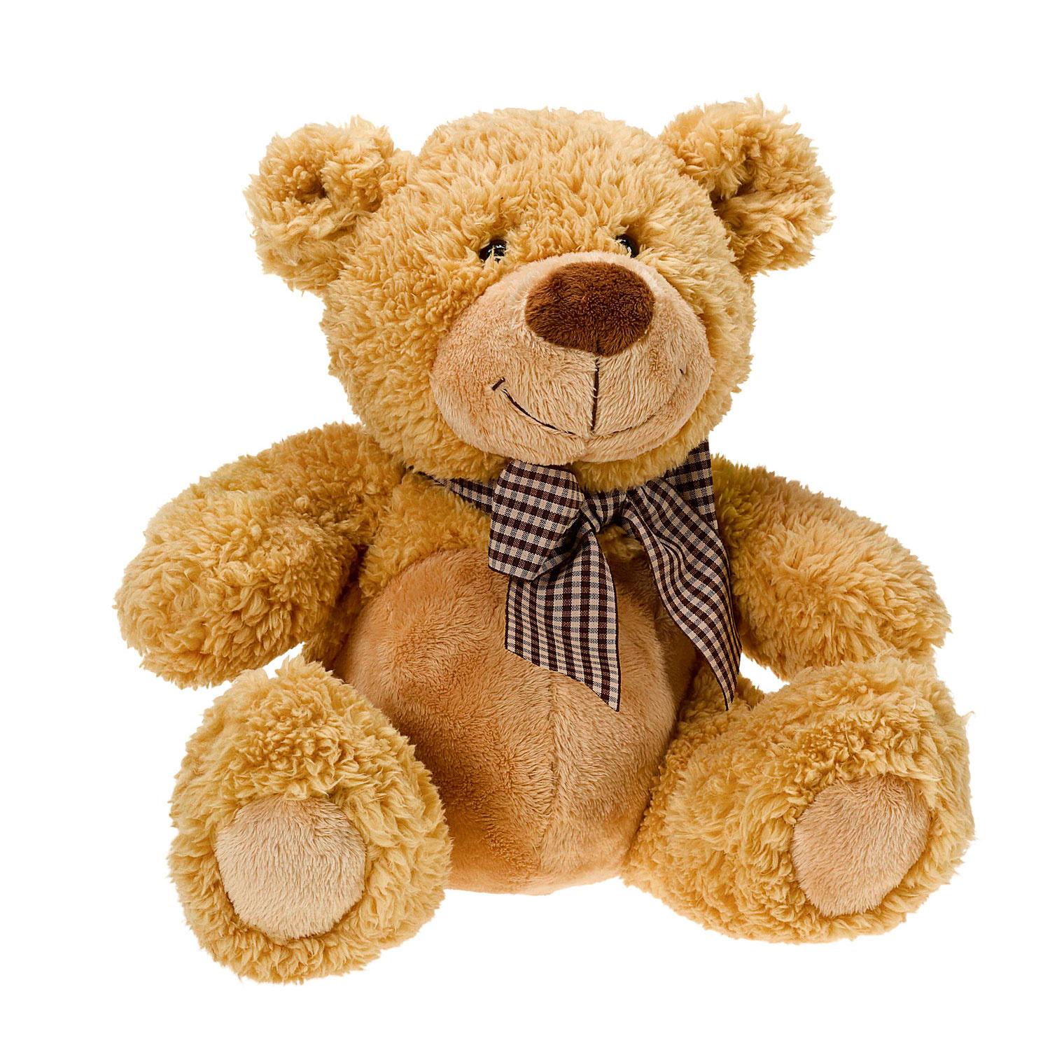 Produktbild Müller - Toy Place - Kuschelbär, 25 cm 2 von 2