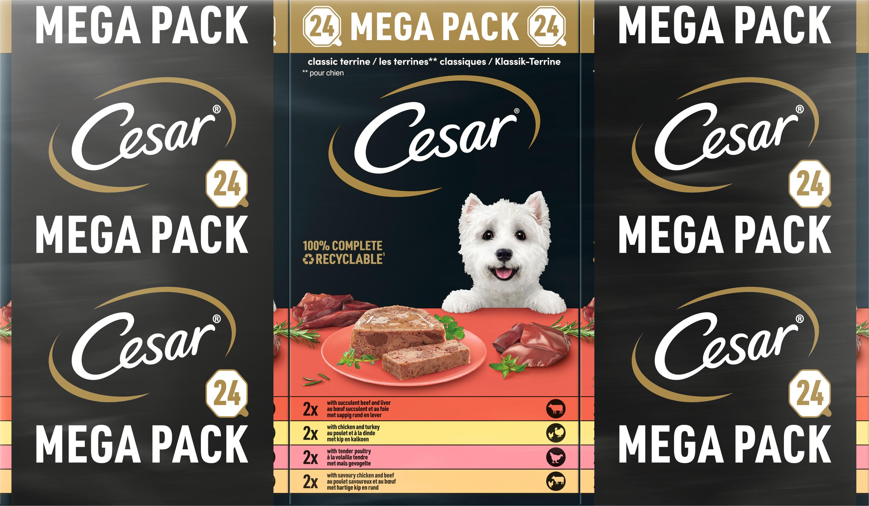 Cesar Hundenassfutter Klassik Terrine Mega Pack