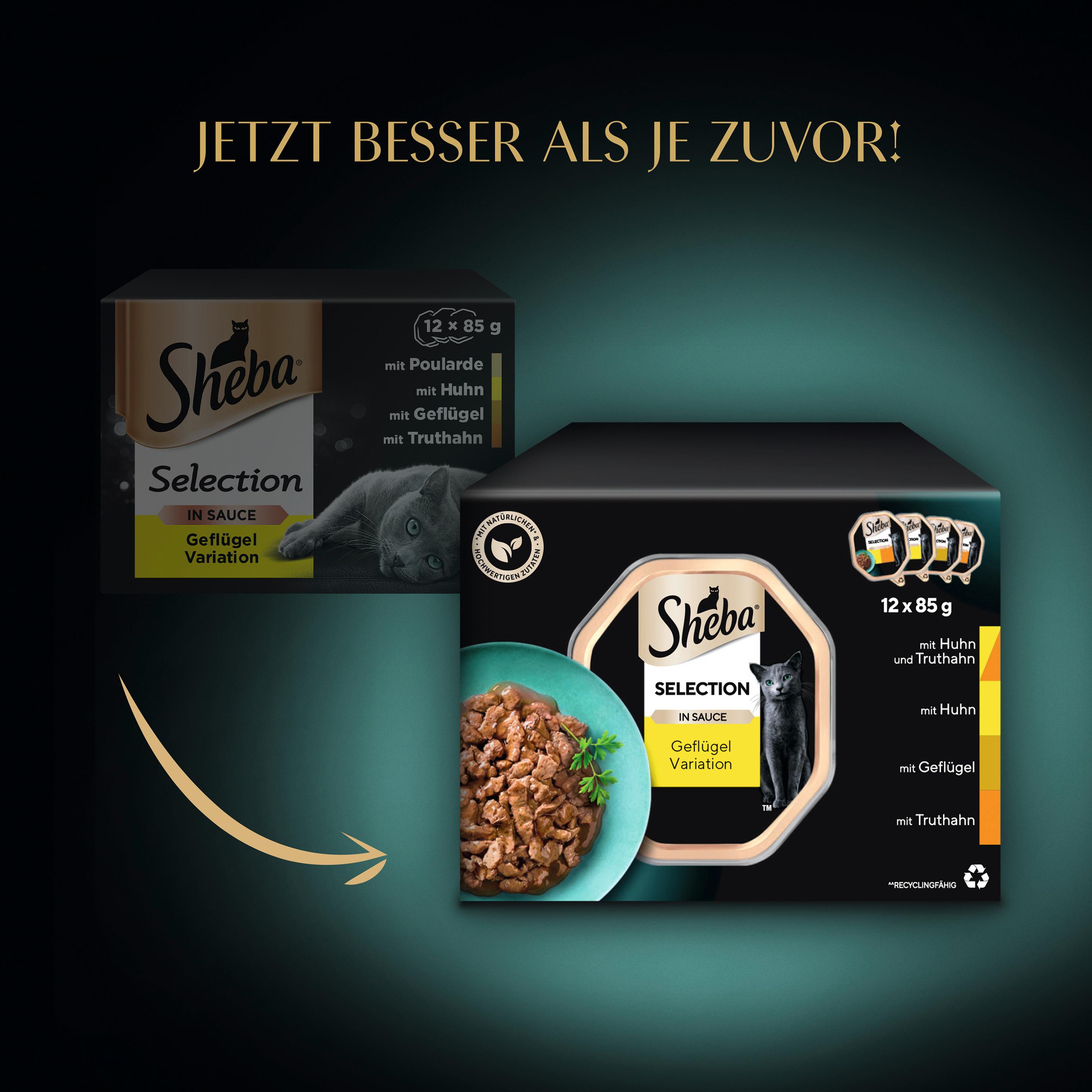 Produktbild SHEBA® Schale Selection in Sauce Geflügel Variation 12x85g 6 von 13