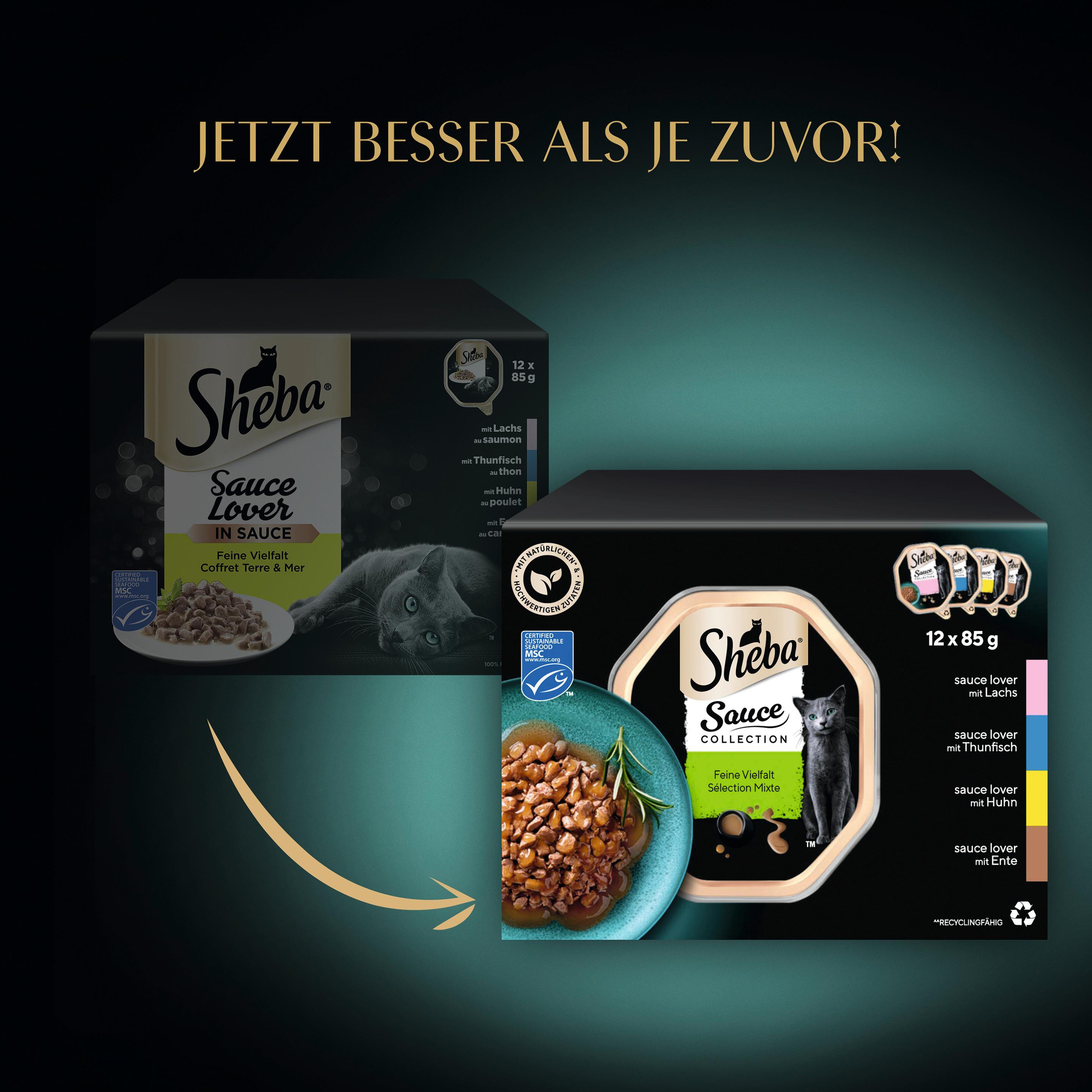 Produktbild SHEBA® Sauce Lover Feine Vielfalt Schale 12x85g 9 von 11