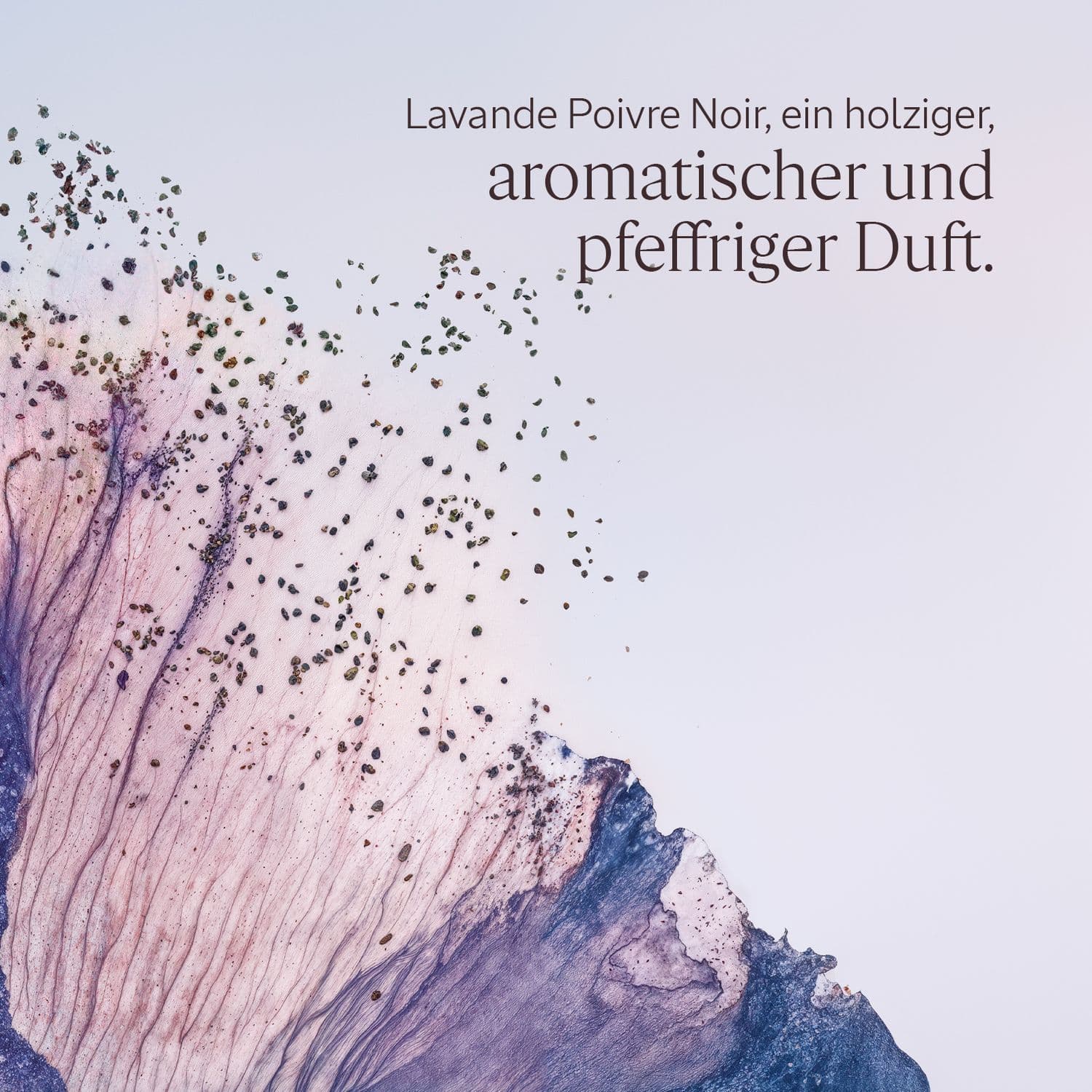 L'OCCITANE EN PROVENCE Lavande Poivre Noir Duschgel