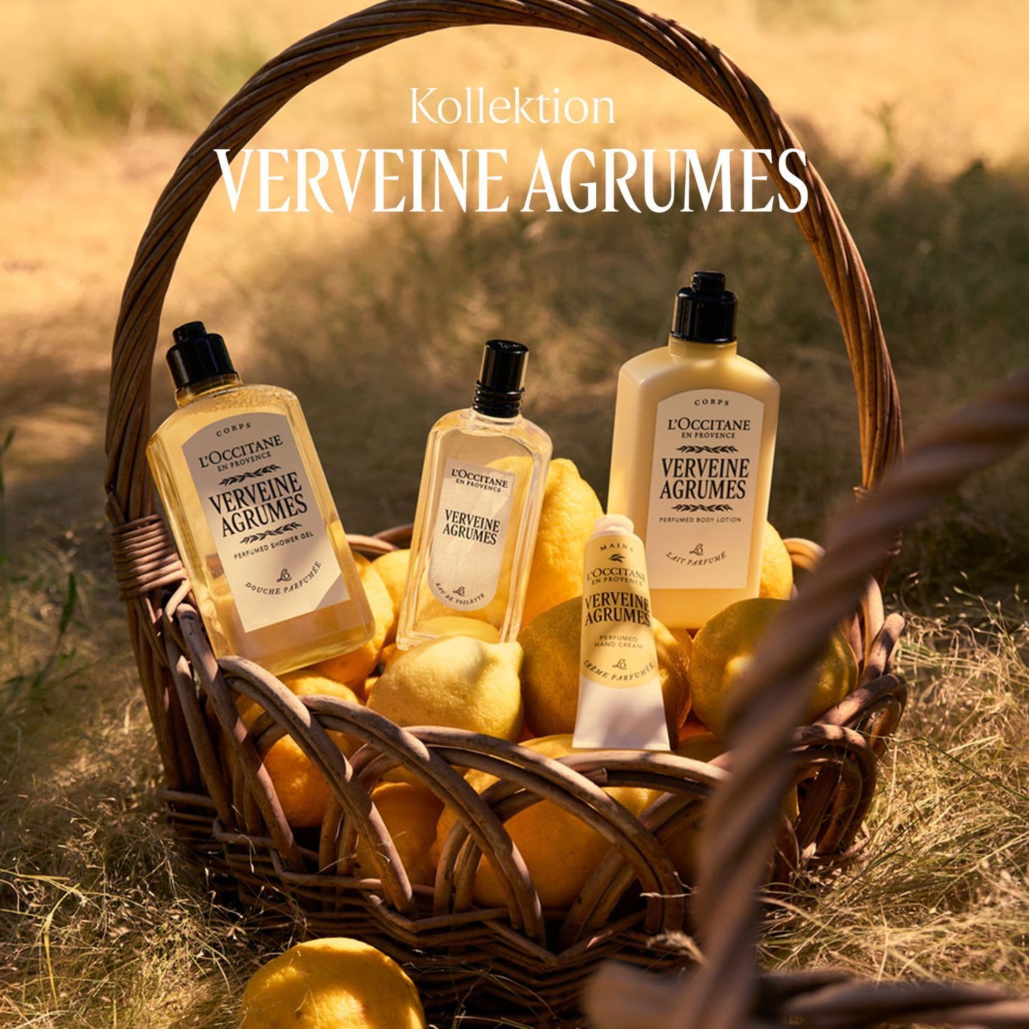 L'OCCITANE EN PROVENCE Verveine Agrumes Body Lotion