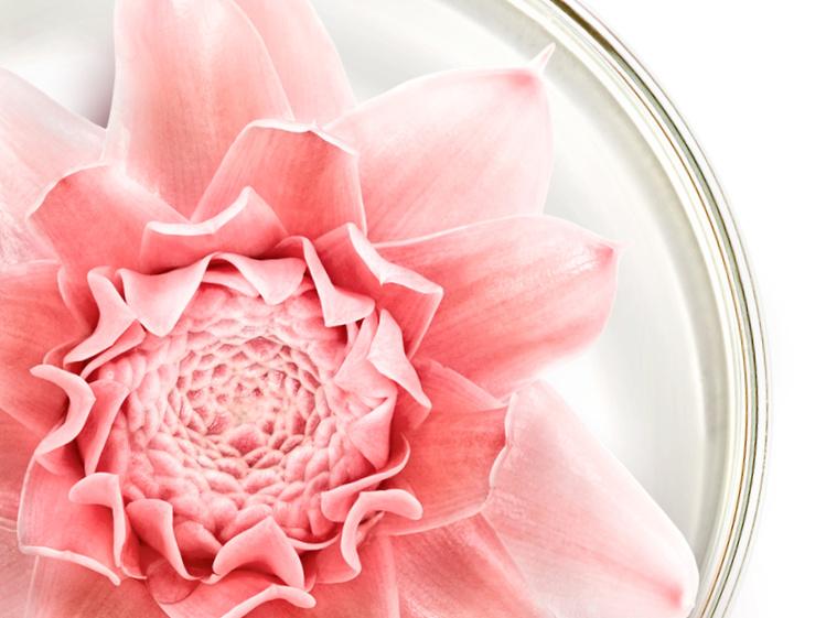 Produktbild NUXE Nuxuriance Gold Balsam für eine strahlende Augenpartie 6 von 6
