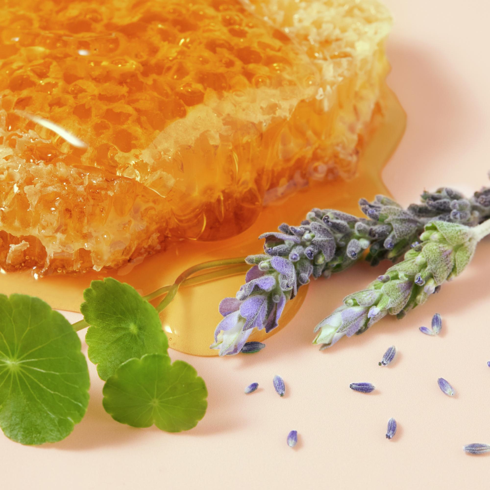 Produktbild NUXE Rêve de Miel CICA Creme für trockene, strapazierte Hände 2 von 5