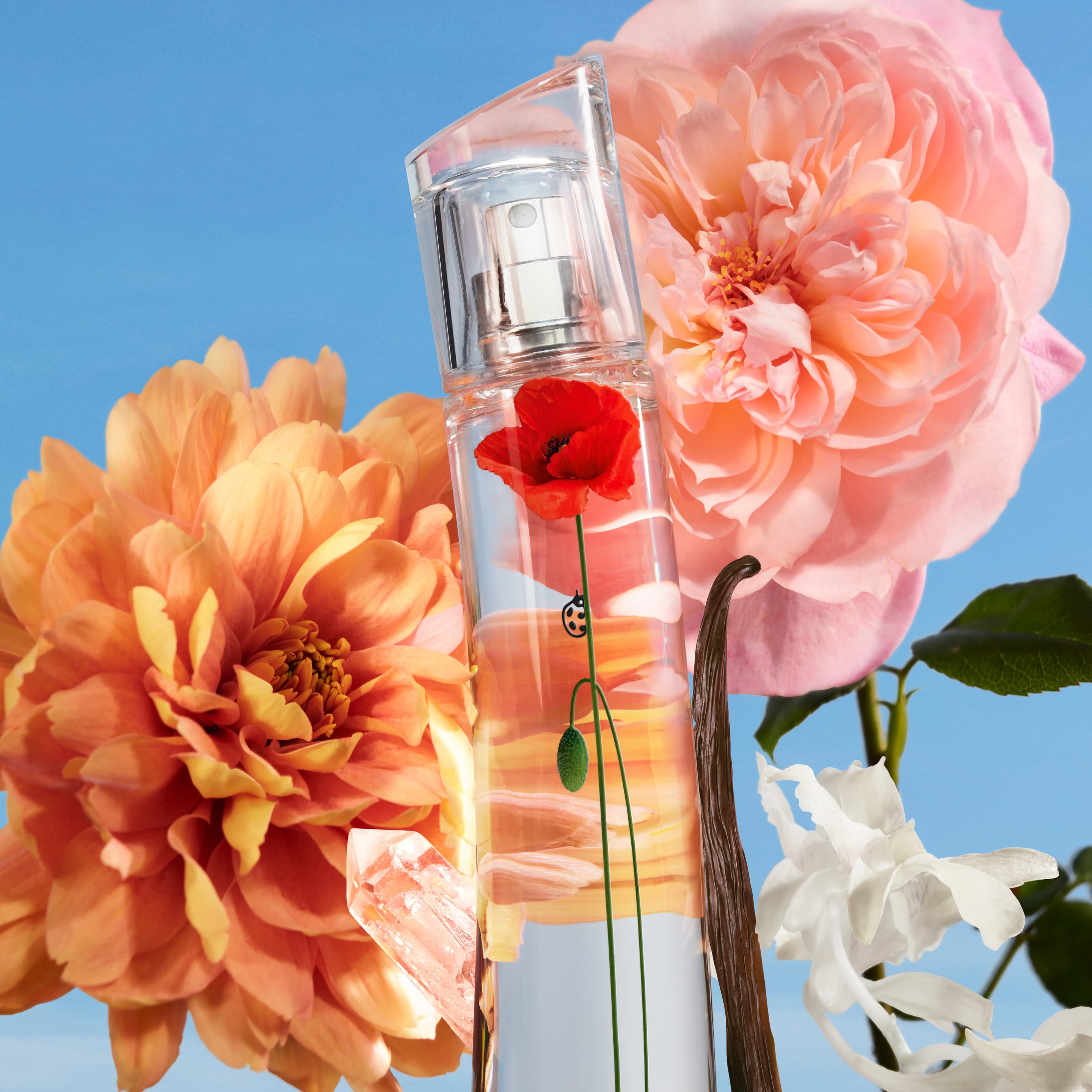 Produktbild KENZO Flower By Kenzo La Récolte Parisienne Eau de Parfum 5 von 6