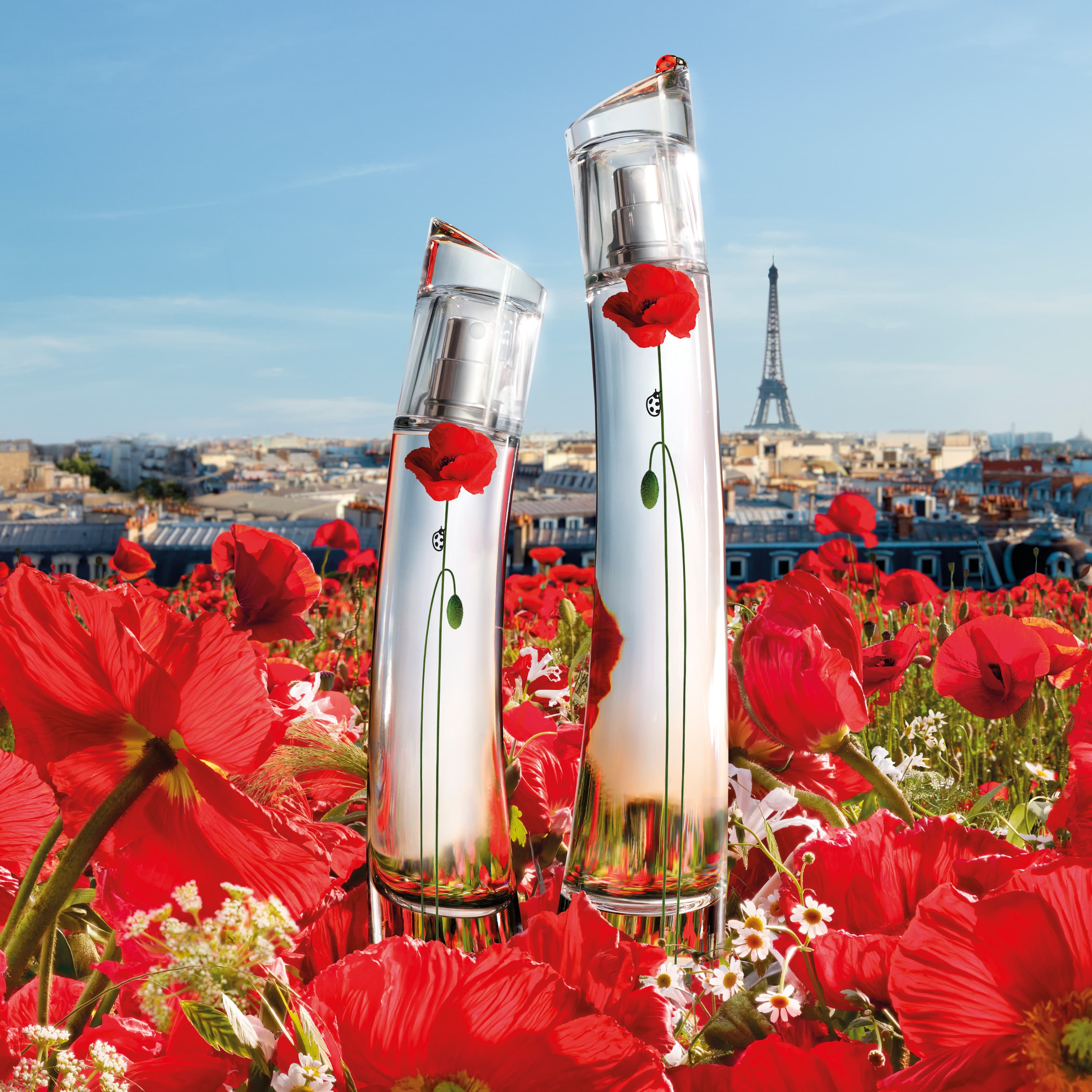 Produktbild KENZO Flower By Kenzo La Récolte Parisienne Eau de Parfum 4 von 6
