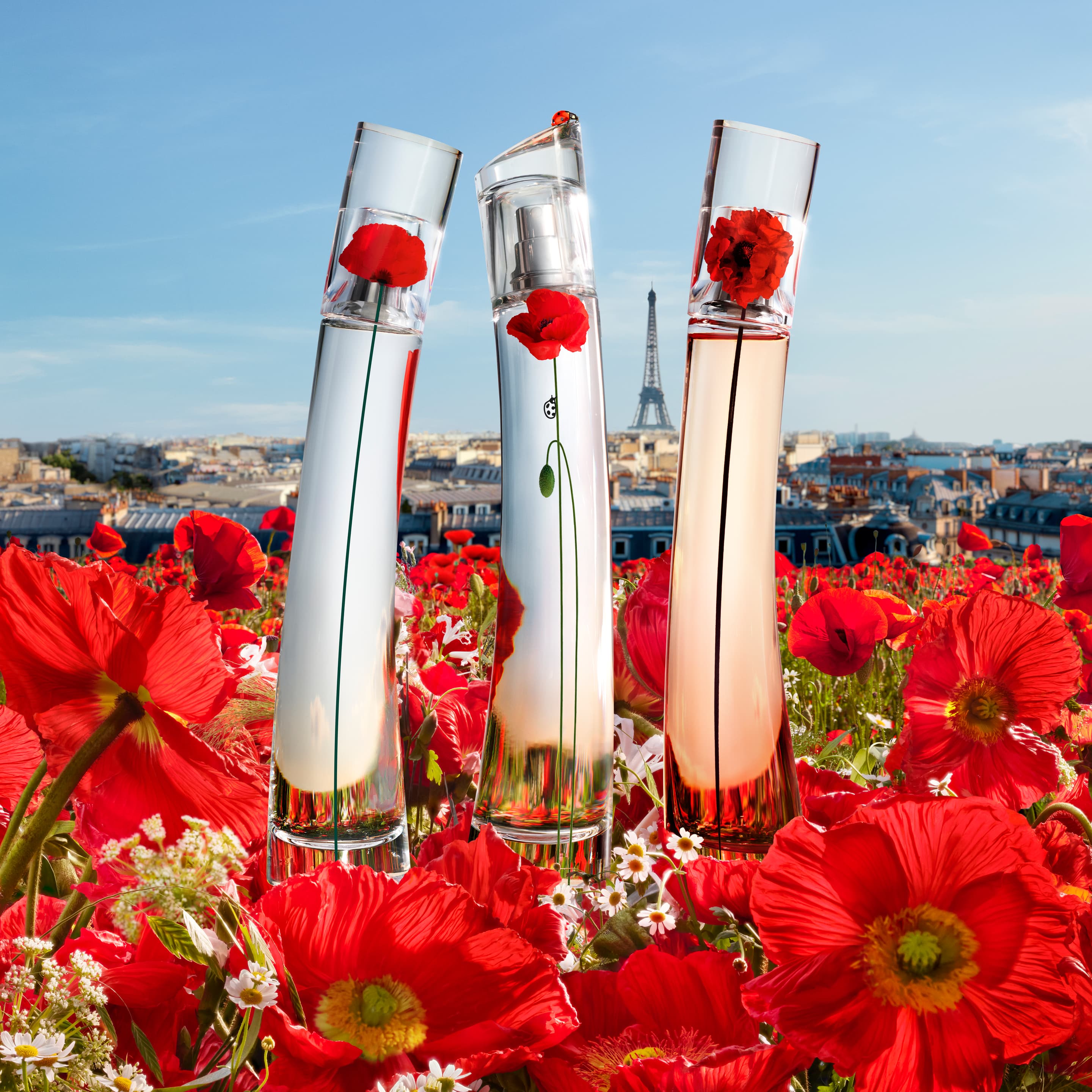 Produktbild KENZO Flower By Kenzo La Récolte Parisienne Eau de Parfum 3 von 6