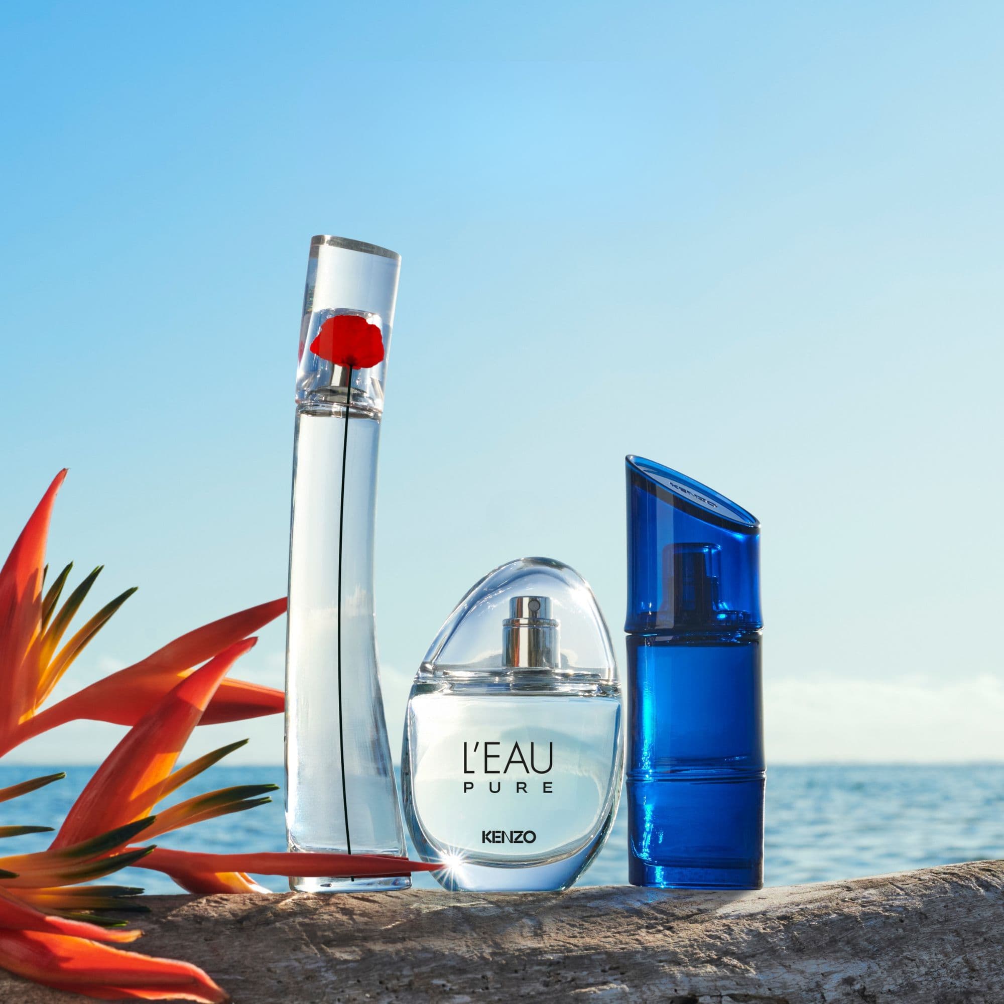 Produktbild KENZO L'eau Pure Eau de Parfum 3 von 6