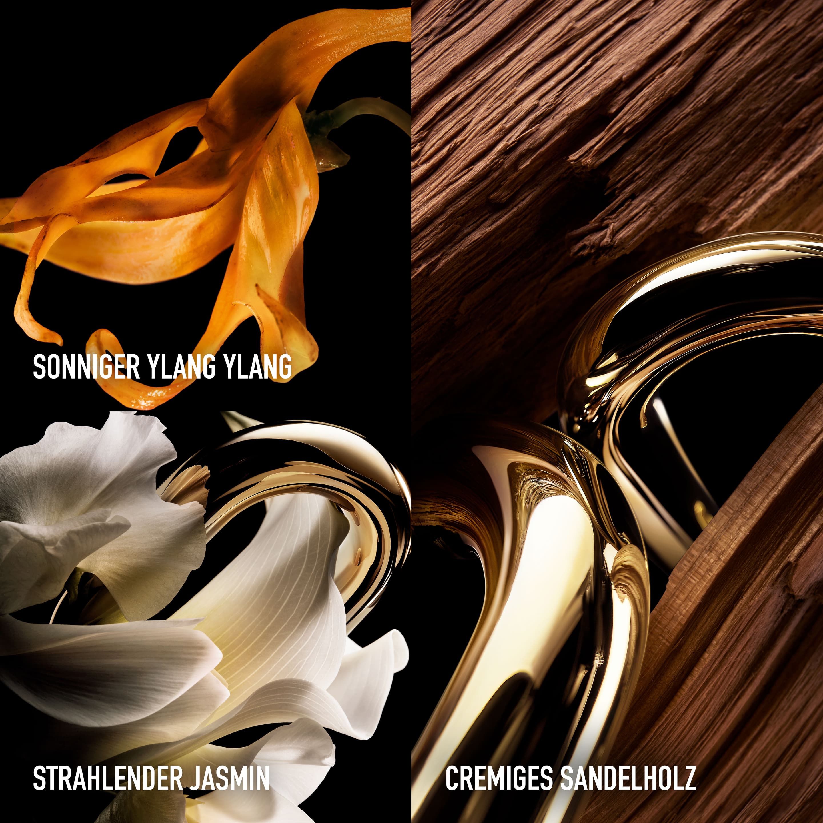 Produktbild Rabanne Million Gold For Her Parfum Nachfüllbar 7 von 8