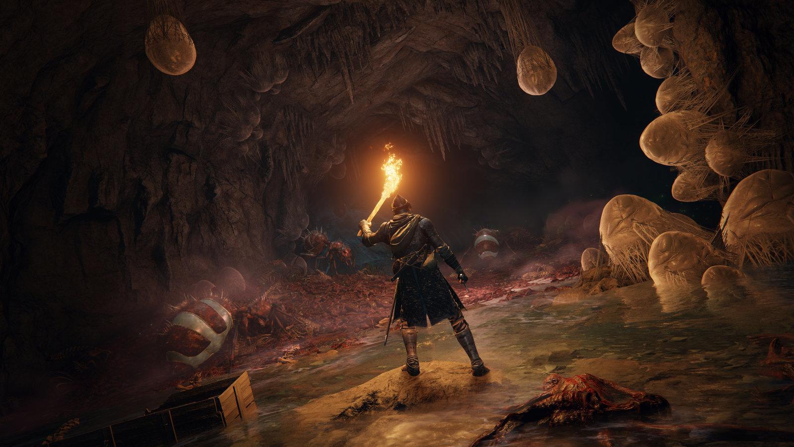 Produktbild Elden Ring - Shadow of the Erdtree Edition 2 von 11