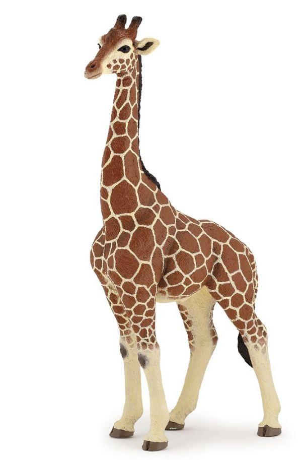 Papo - Giraffenmännchen