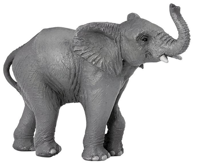 Papo - Elefant jung 50225