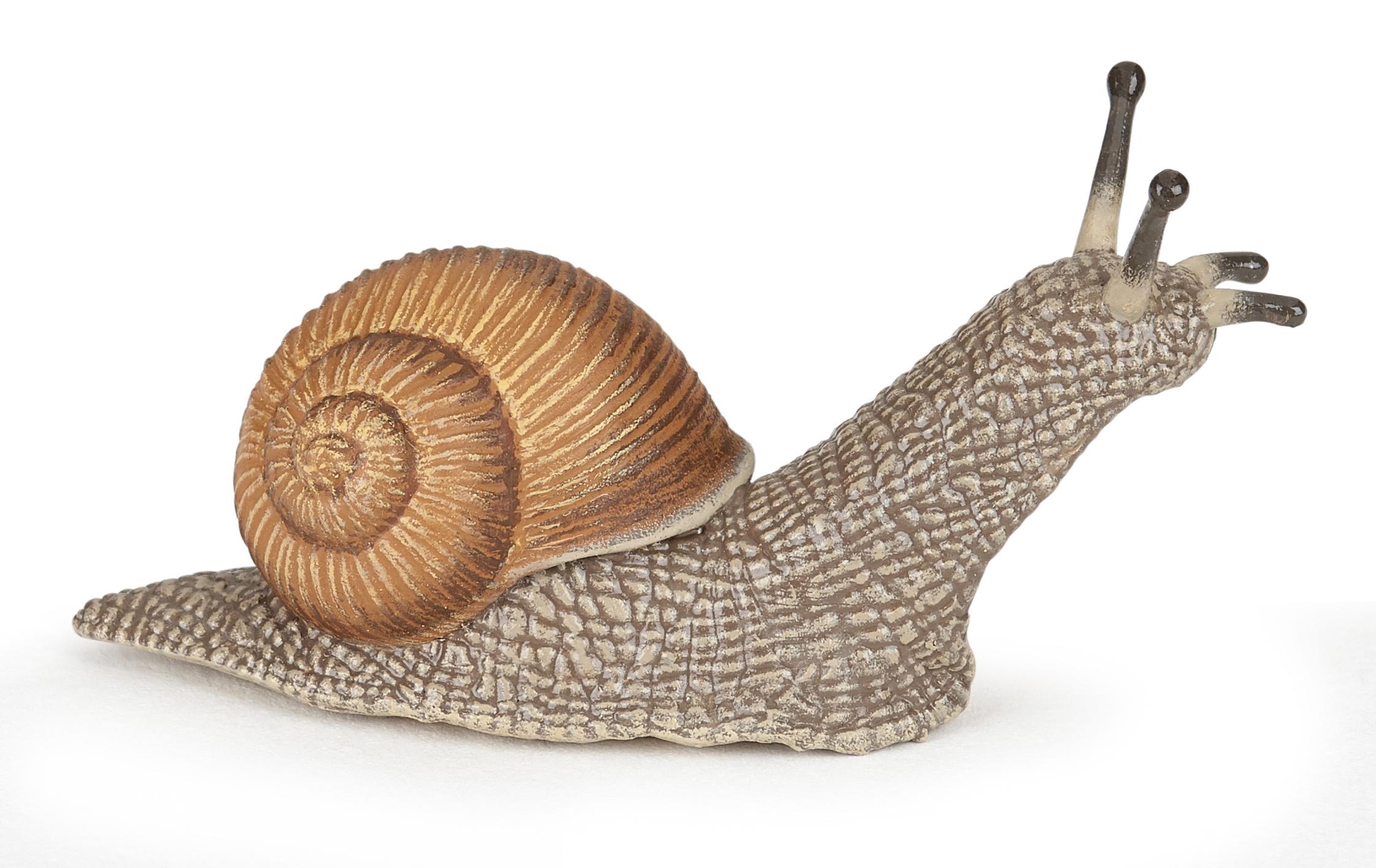 Papo - Schnecke