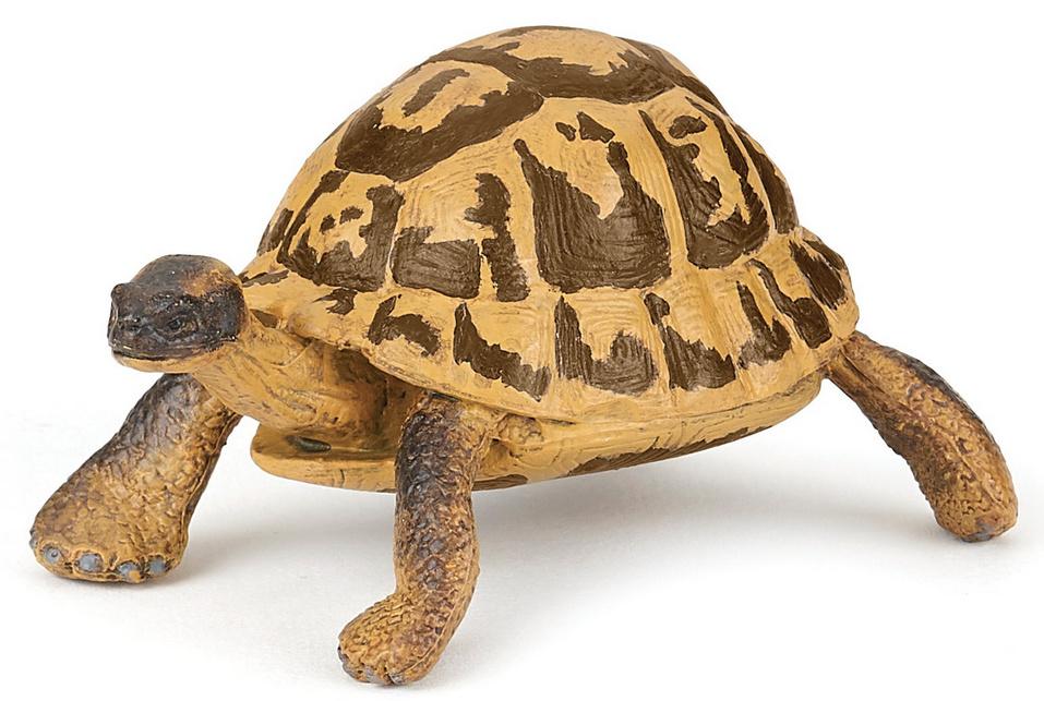 Papo - Hermann's Schildkröte 50264