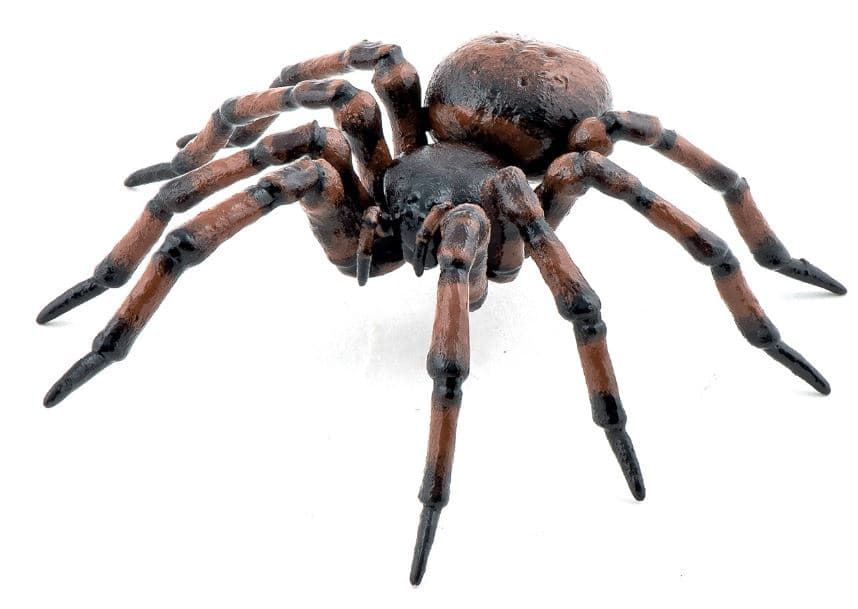 Papo - Gemeine spinne