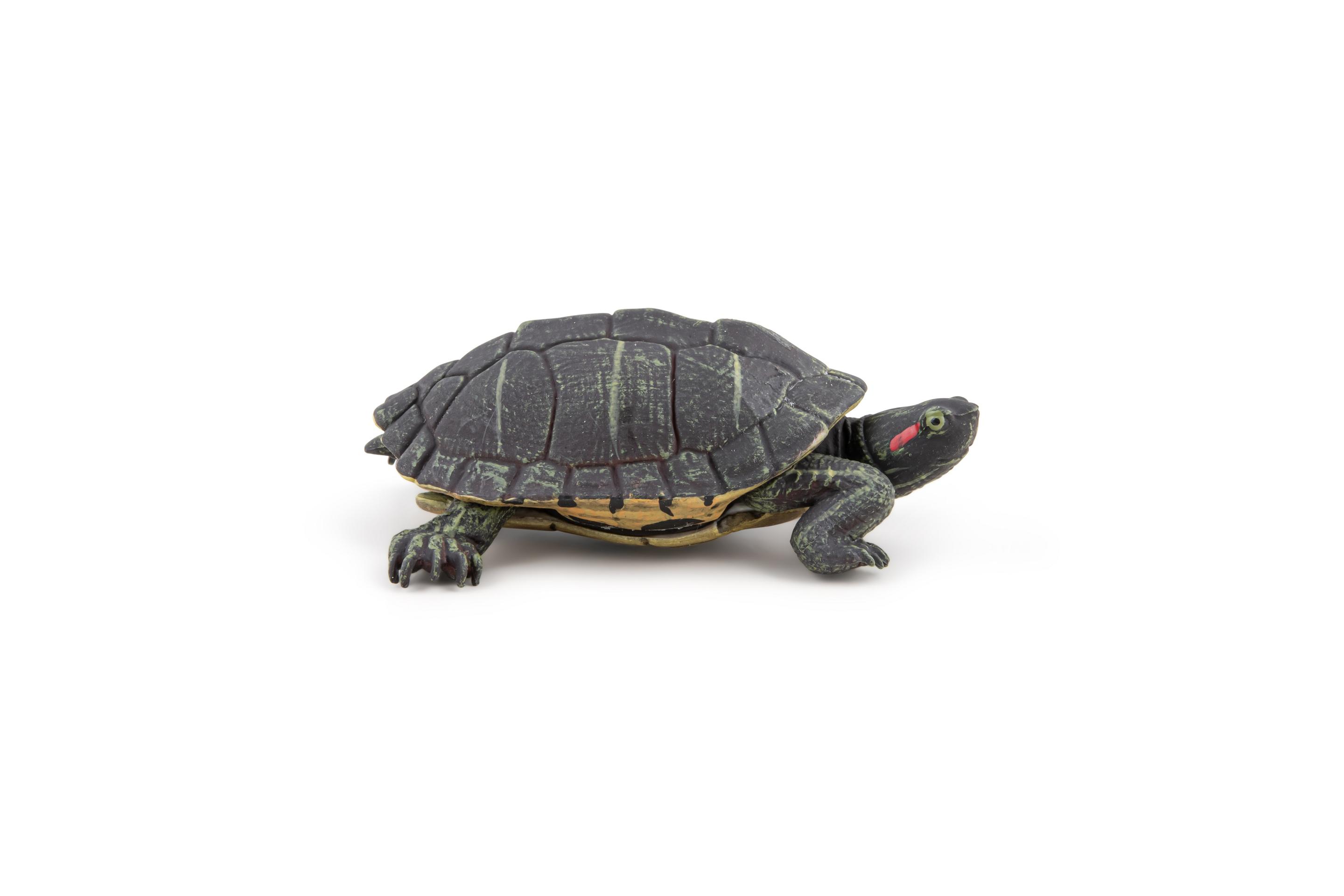Papo - Florida-Schildkröte