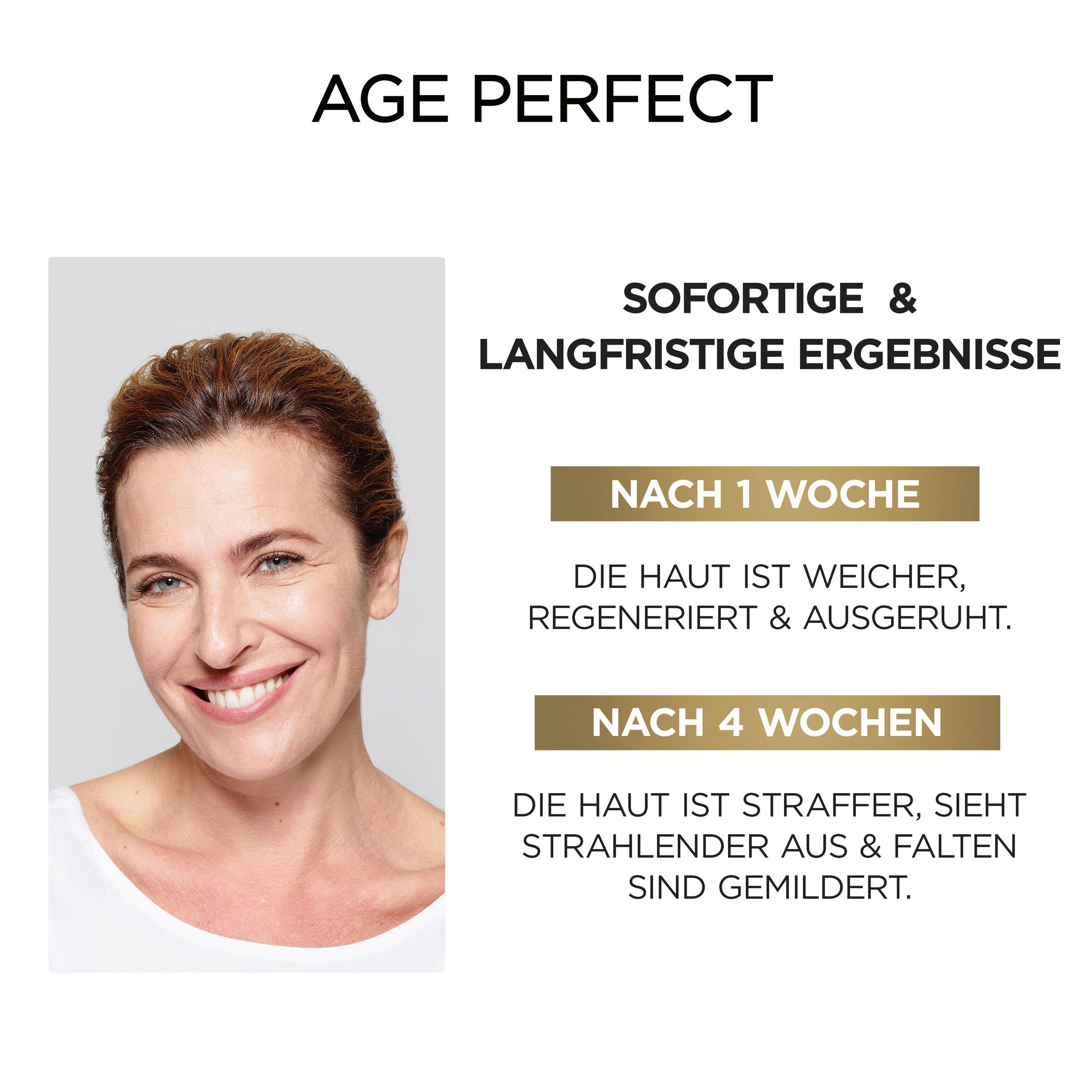Produktbild L'Oréal Paris Age Perfect Zell Renaissance Midnight Nachtcreme Gesicht 22 von 22