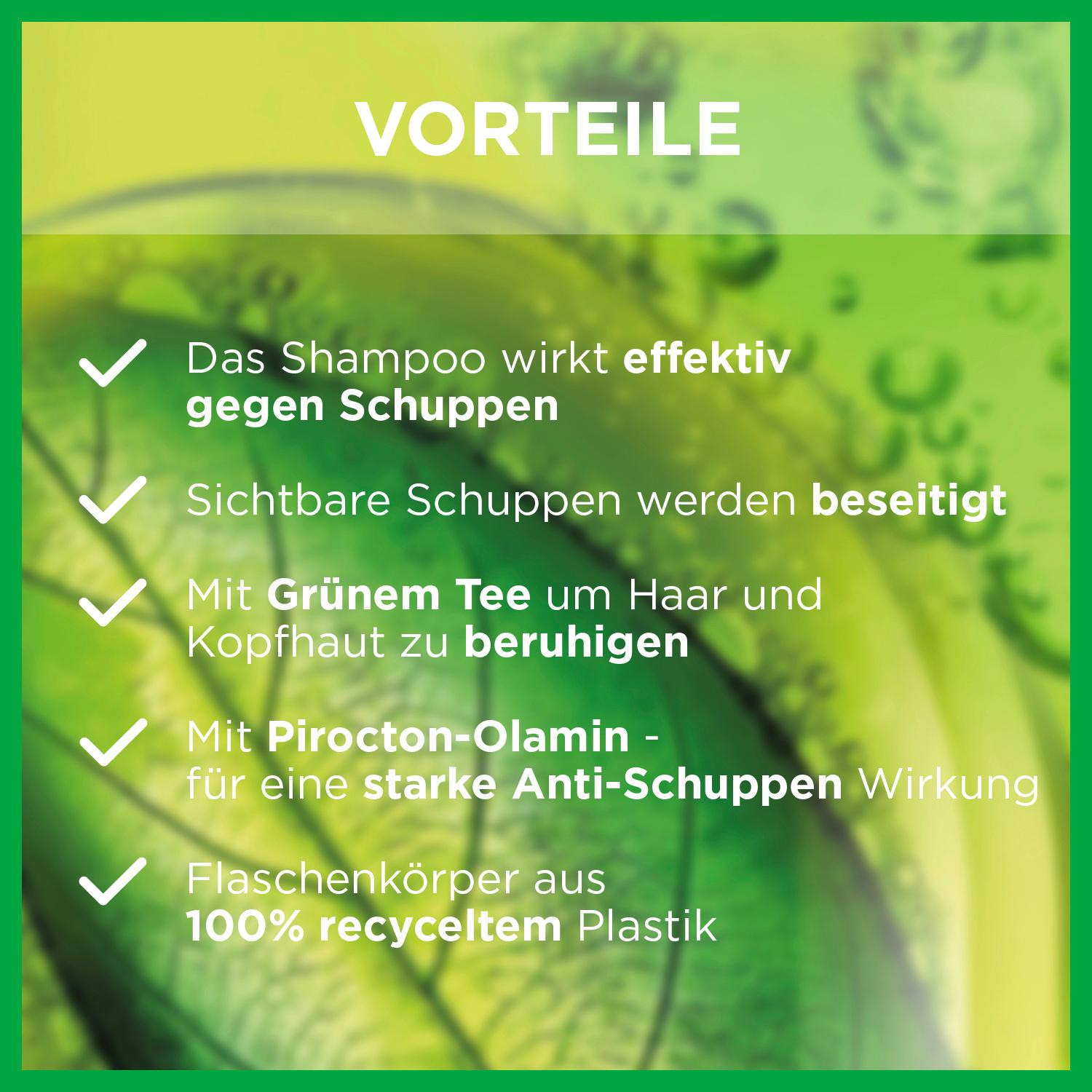 Produktbild Garnier Fructis Shampoo Anti Schuppen Grüner Tee&Zink Pyrition 6 von 6