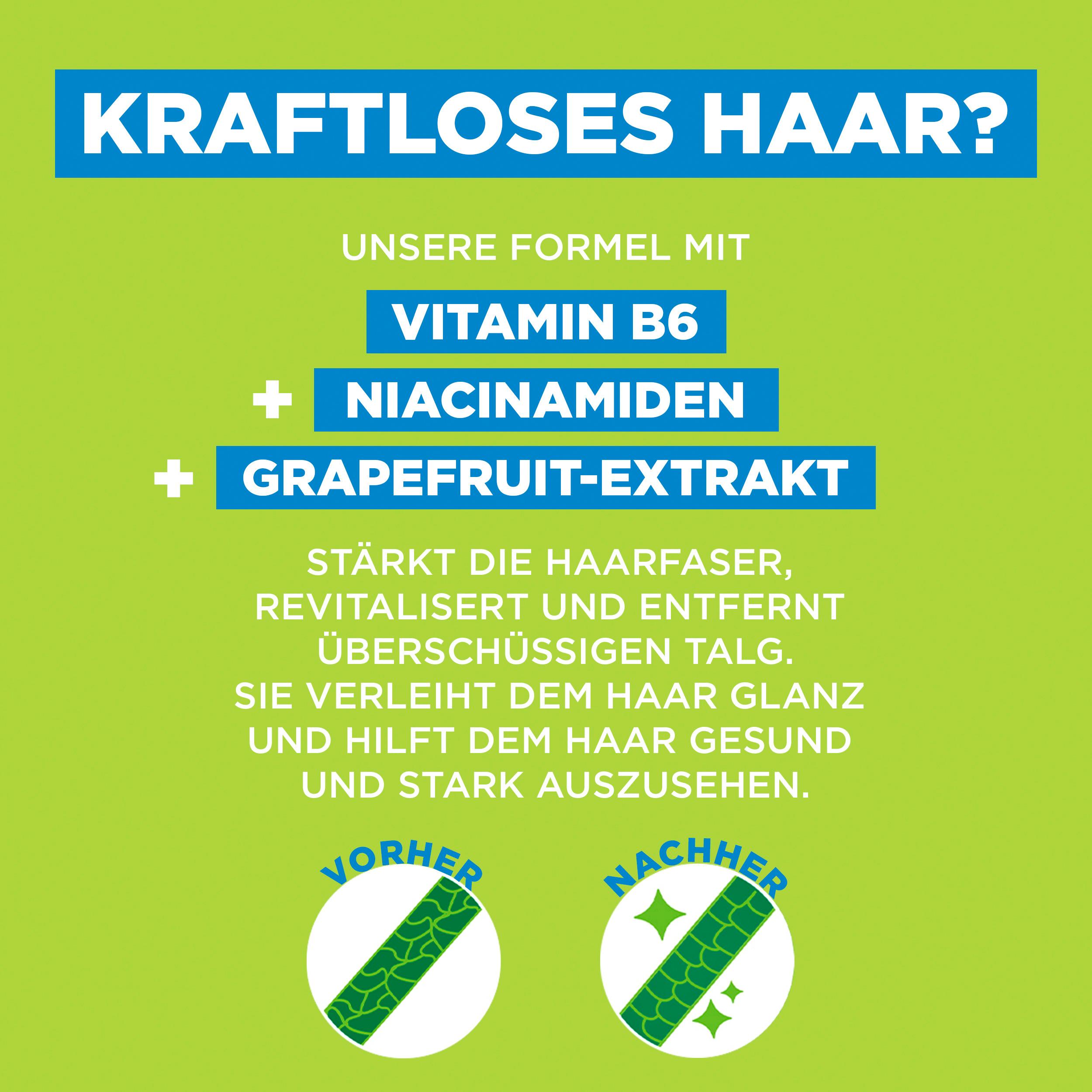 Produktbild Garnier Fructis Kraft&Glanz Shampoo 5 von 8