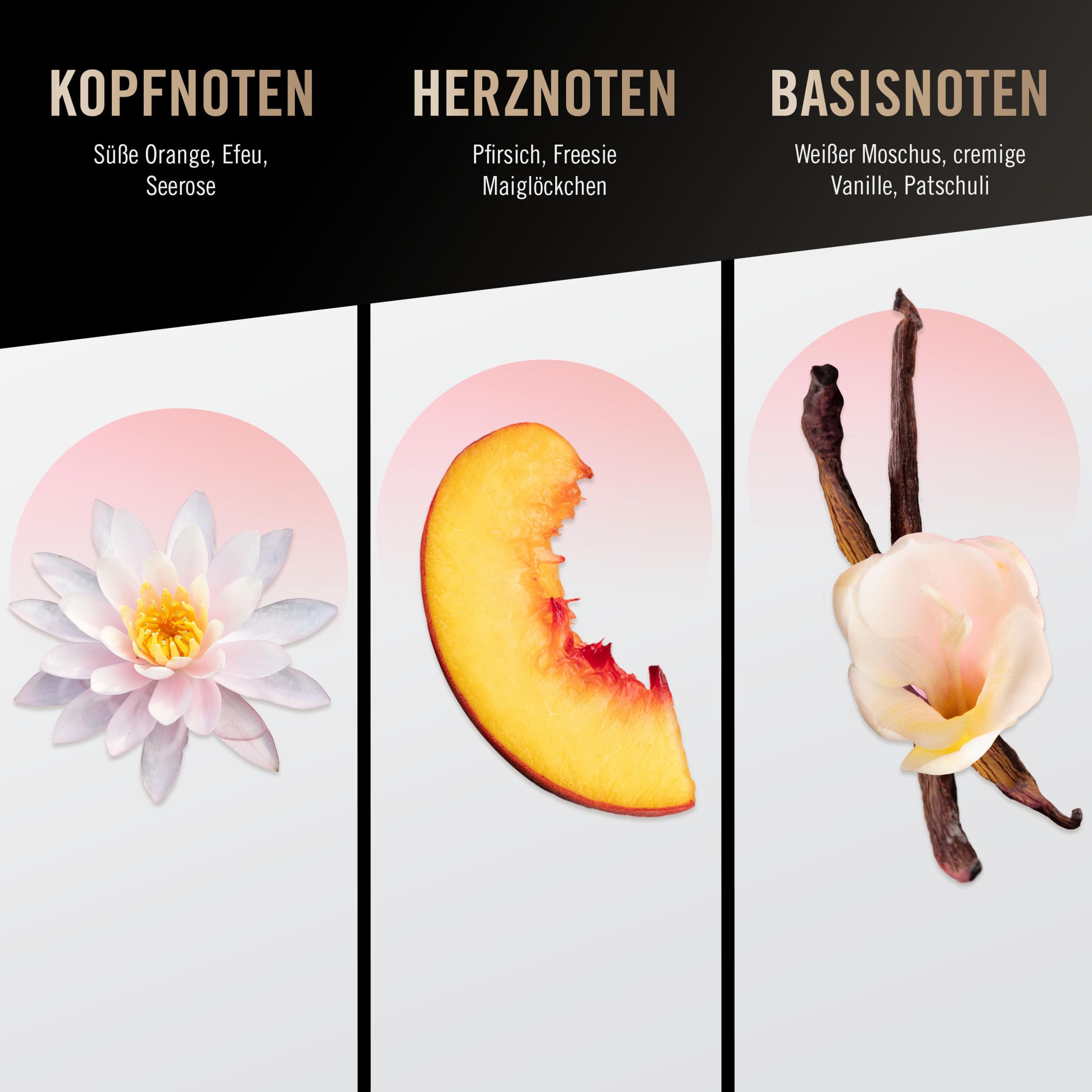 Produktbild bruno banani Women Eau de Parfum 10 von 10