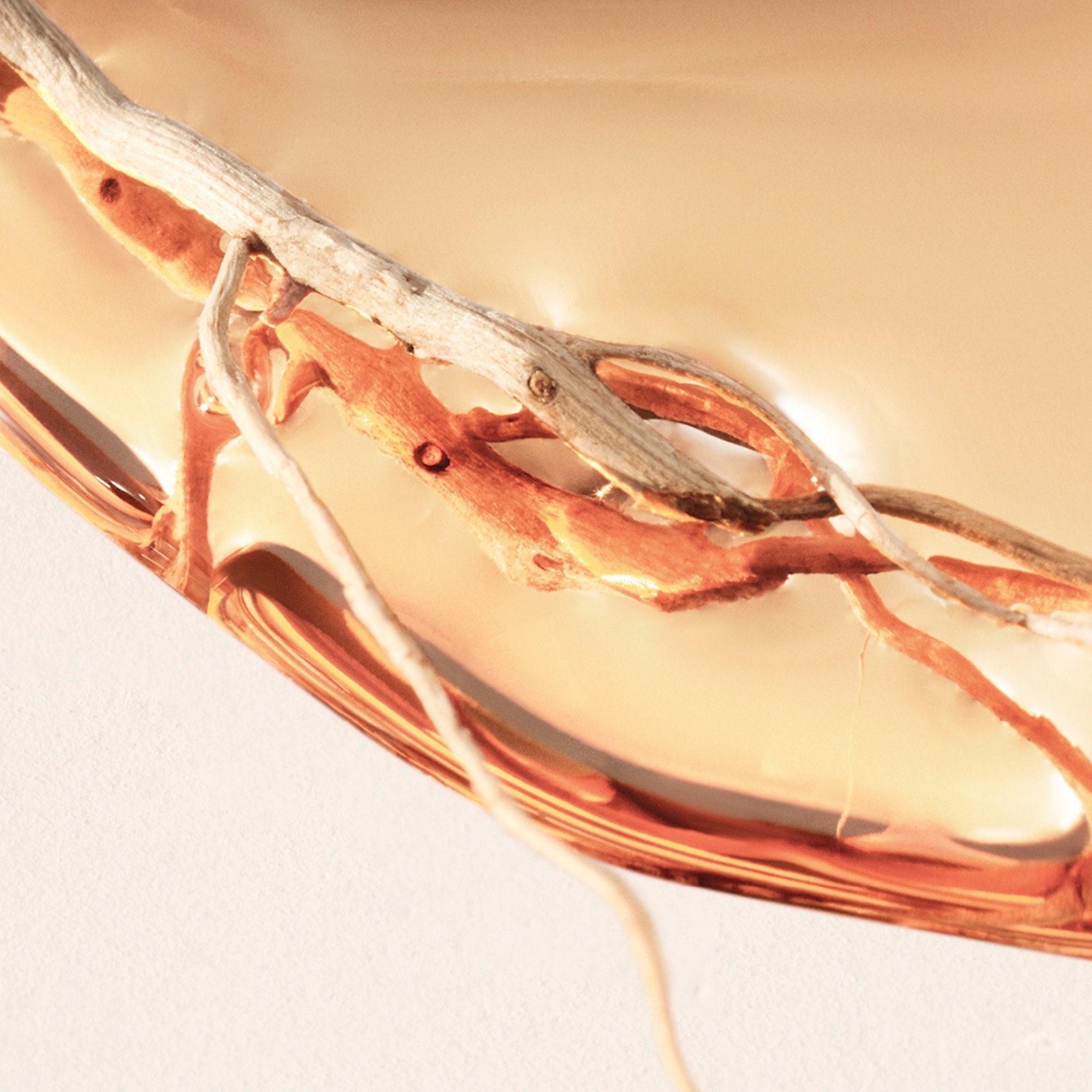 Produktbild BOSS Alive Intense Eau de Parfum 5 von 7