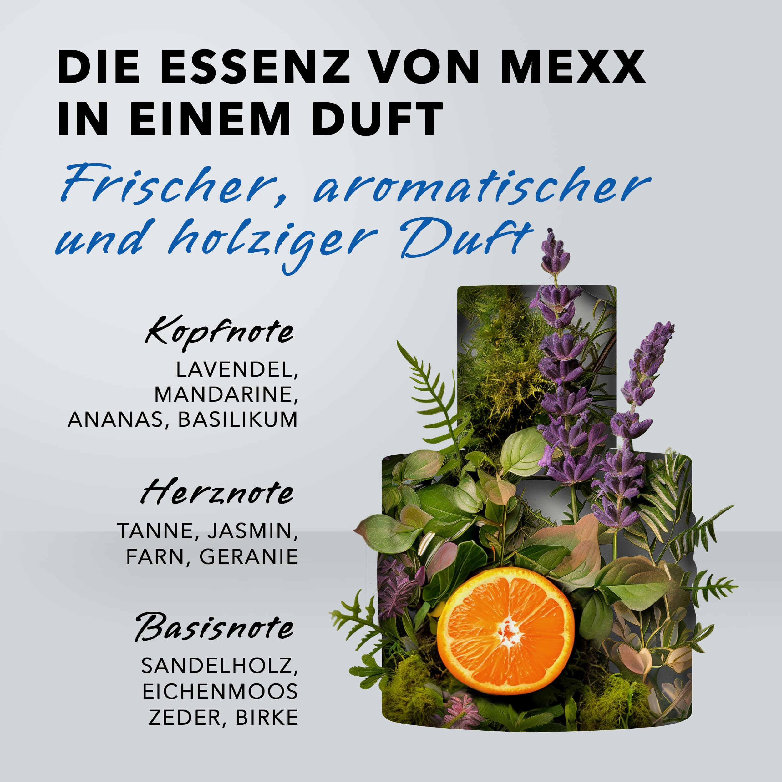Produktbild MEXX Man Eau de Toilette 10 von 12