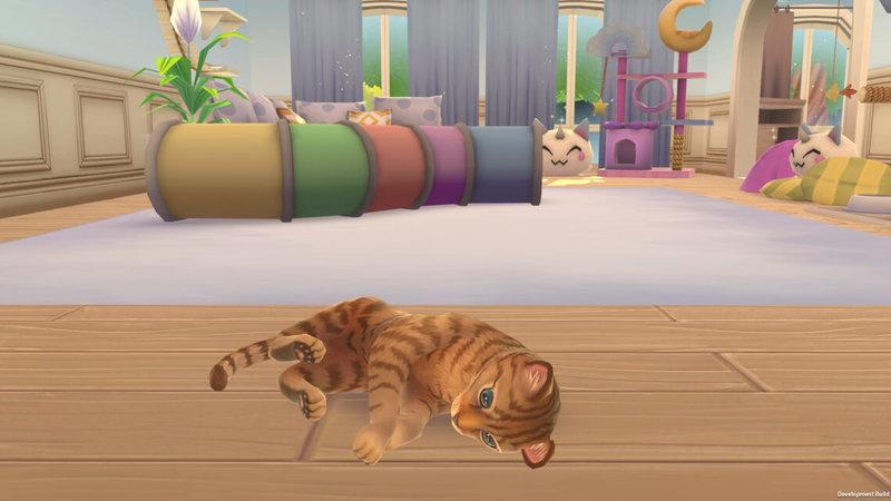 Produktbild Cat Rescue Story 3 von 7