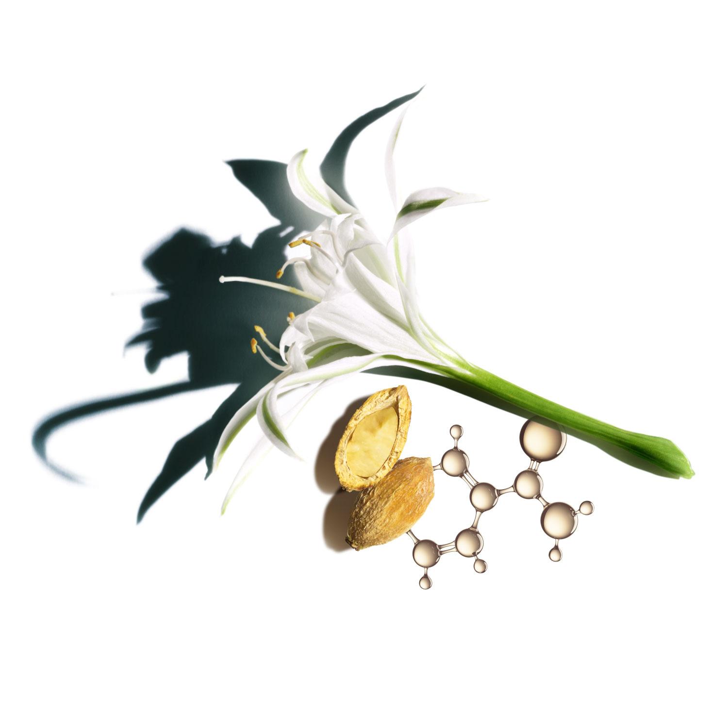 Produktbild CLARINS Nutri-Lumière SPF15 Toutes Peaux 3 von 4